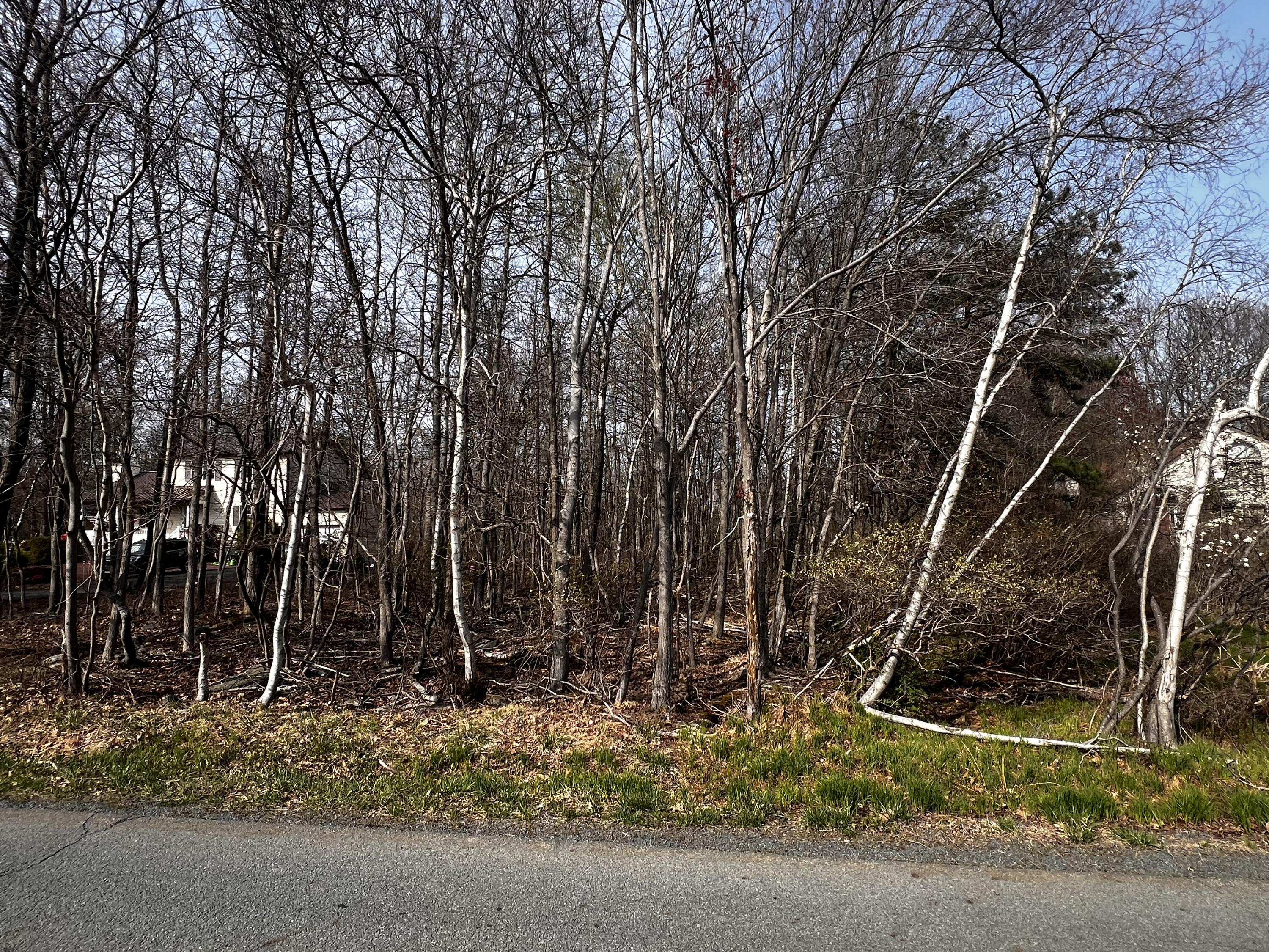 Lot 5420 Clearview Drive, Long Pond, Pennsylvania image 4