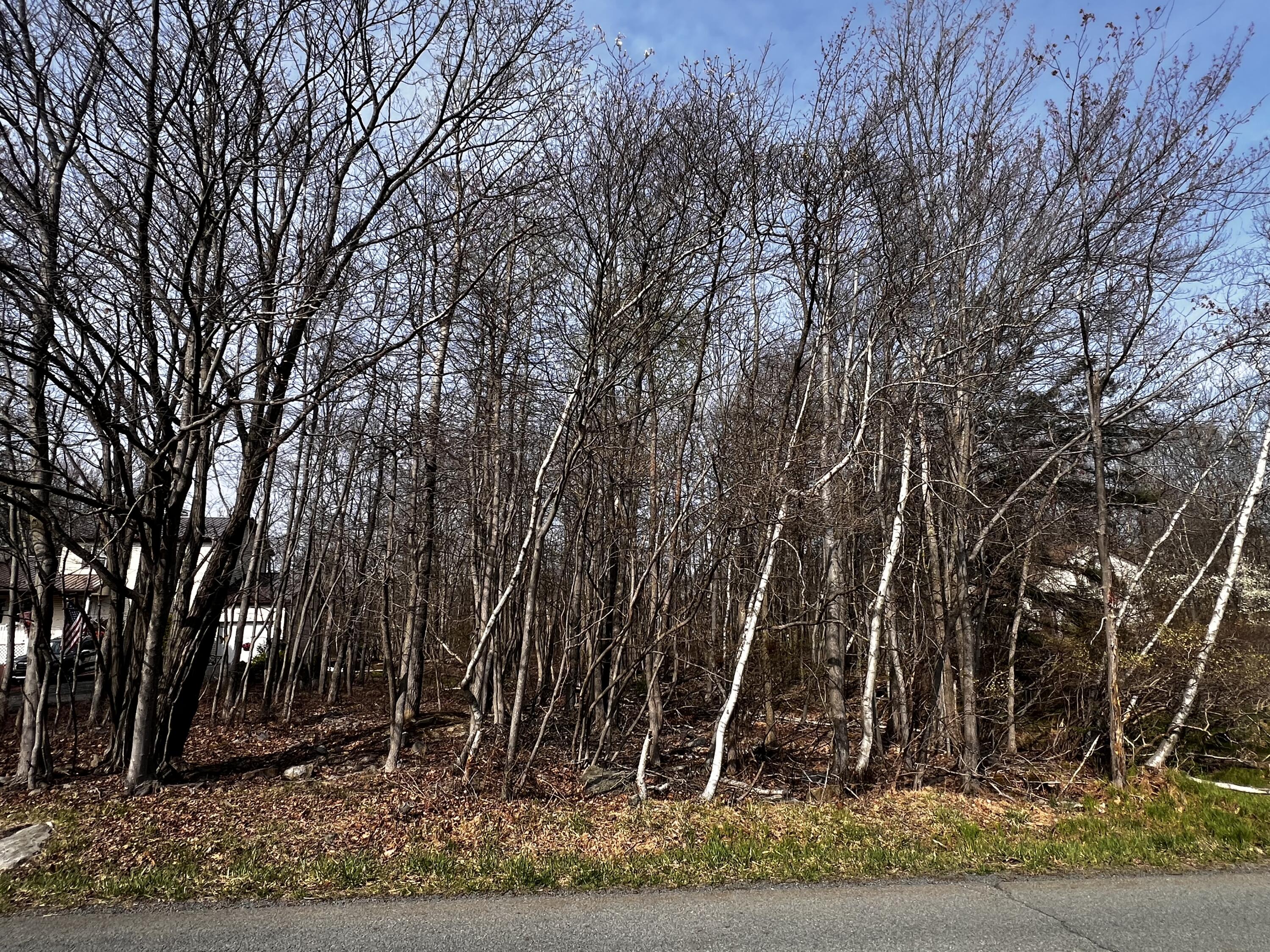 Lot 5420 Clearview Drive, Long Pond, Pennsylvania image 3