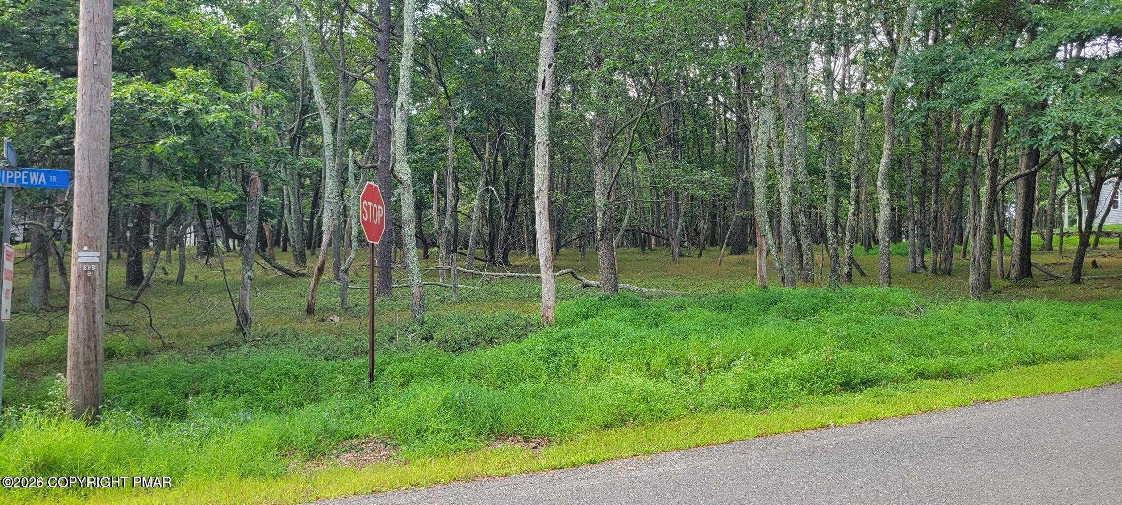 Chippewa 718 Trail