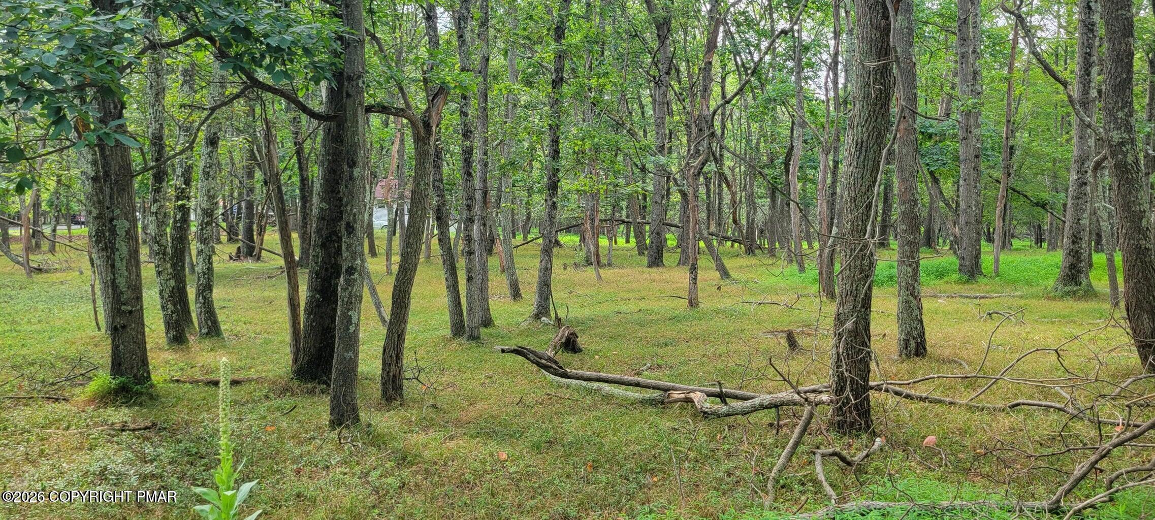 Chippewa 718 Trail