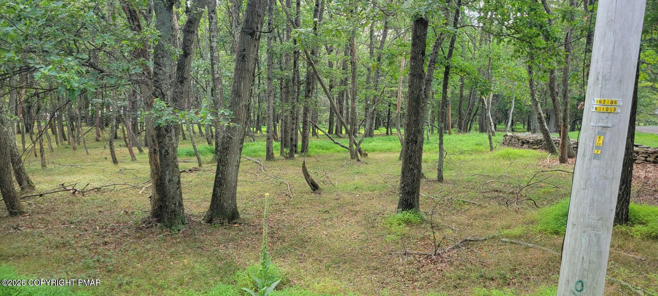Chippewa 718 Trail