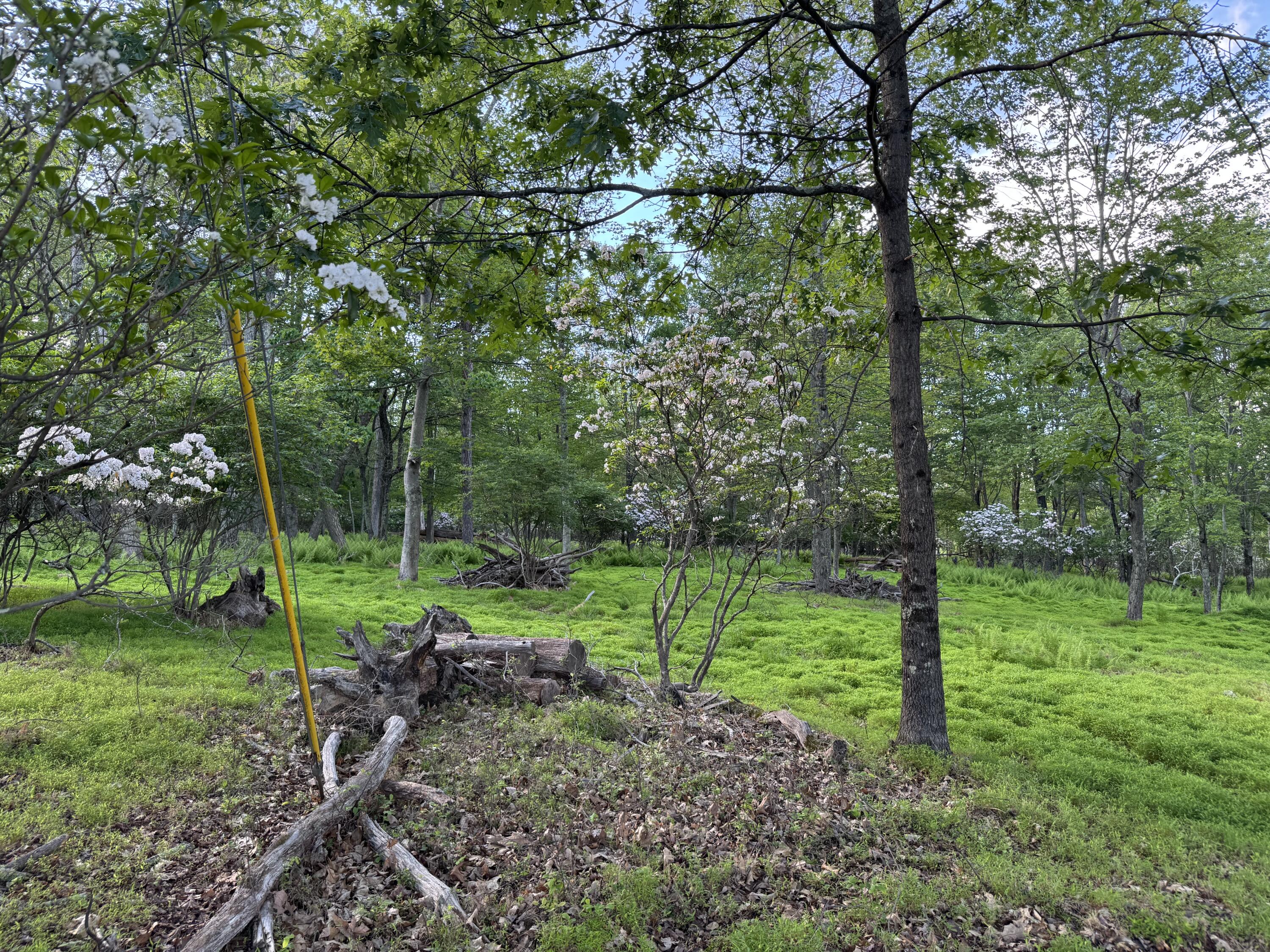 Lot 10 Twilight Drive, Cresco, Pennsylvania image 6