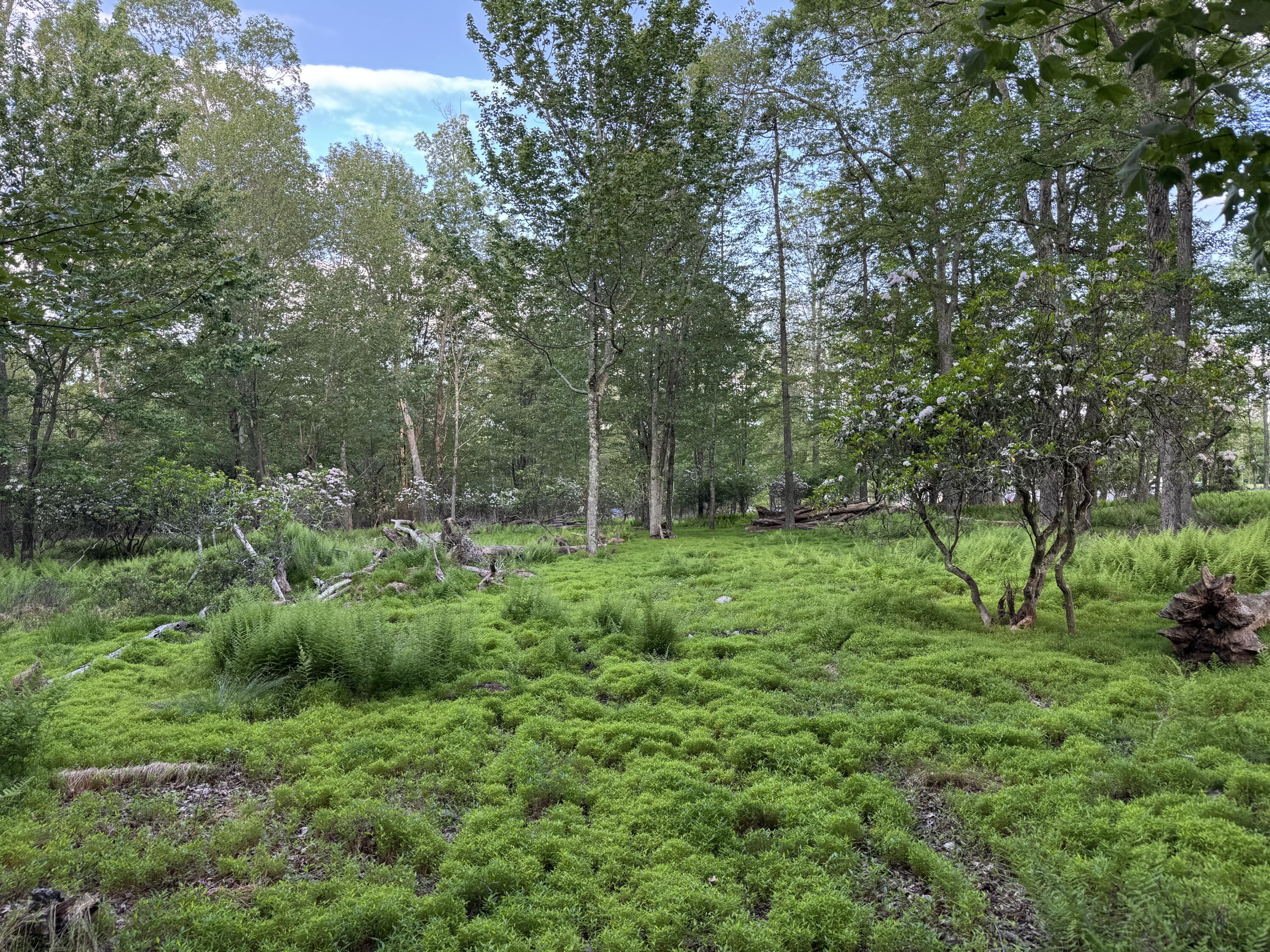 Lot 10 Twilight Drive, Cresco, Pennsylvania image 1