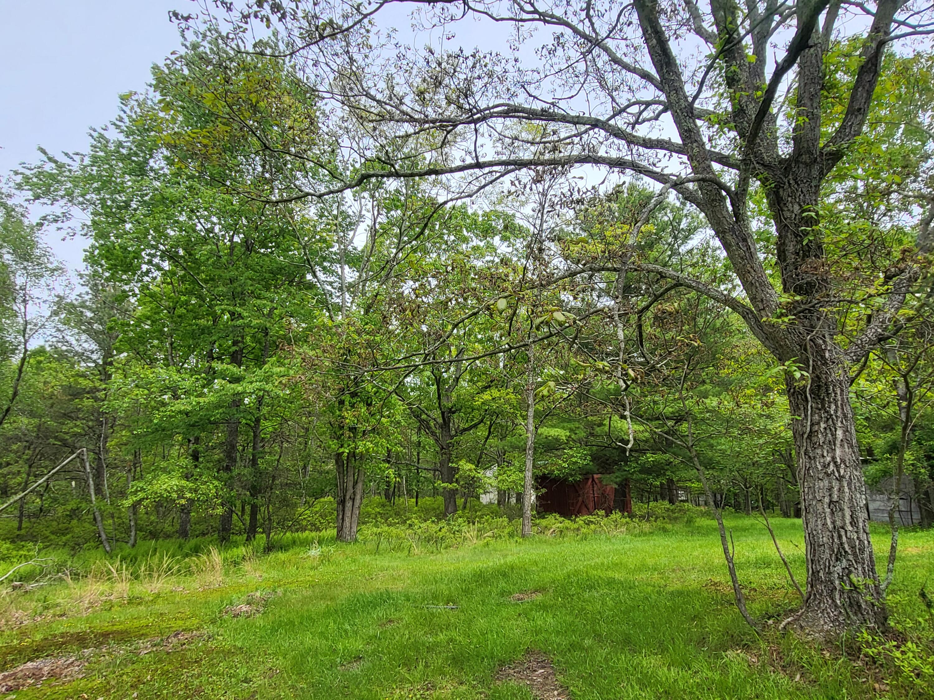 216 Buckhorn Lane, Cresco, Pennsylvania image 2