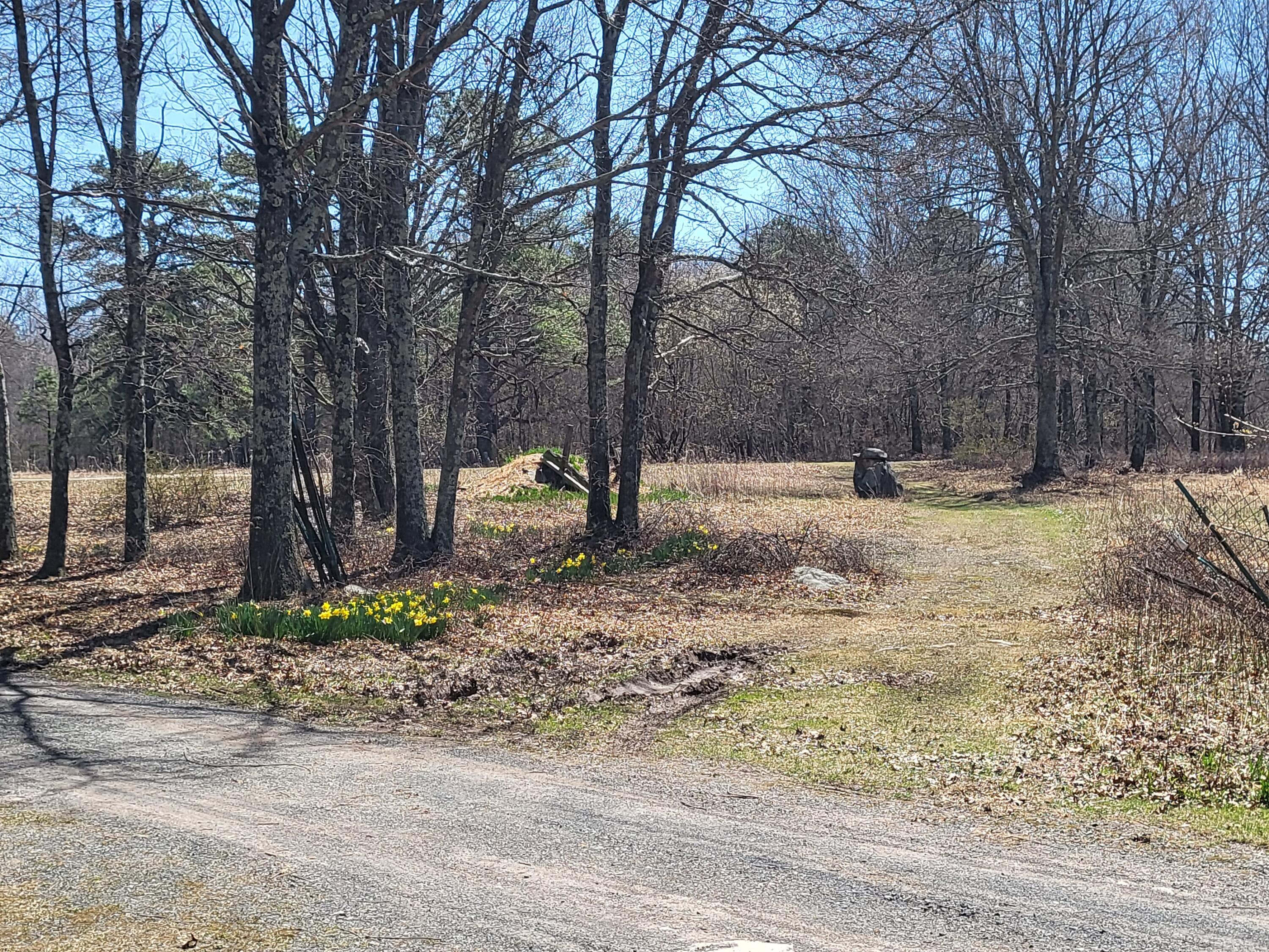 216 Buckhorn Lane, Cresco, Pennsylvania image 50
