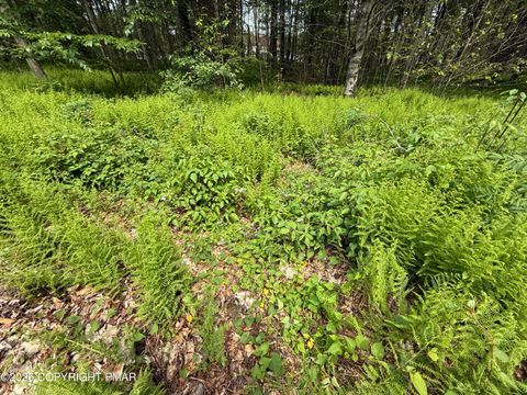 Dorshimer Ave Blakeslee PA 18610