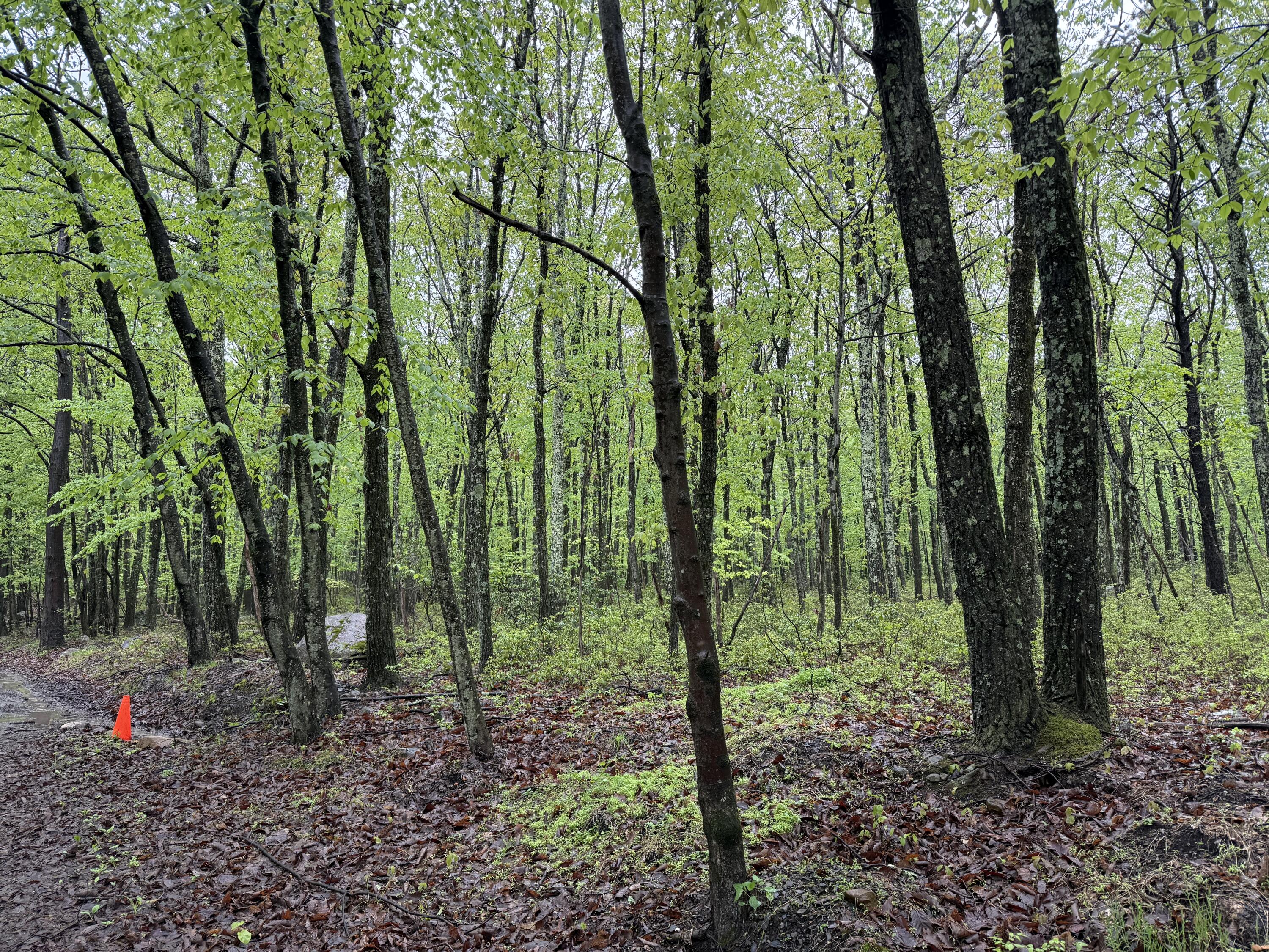 Lot 2 Sportsmans Trail, Stroudsburg, Pennsylvania image 10