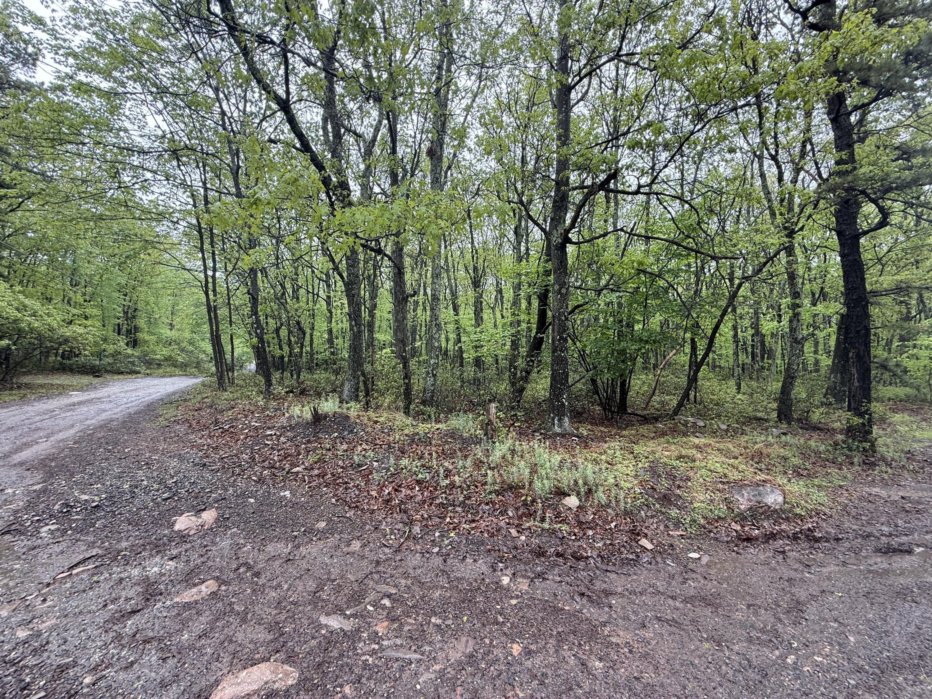 Lot 2 Sportsmans Trail, Stroudsburg, Pennsylvania image 6