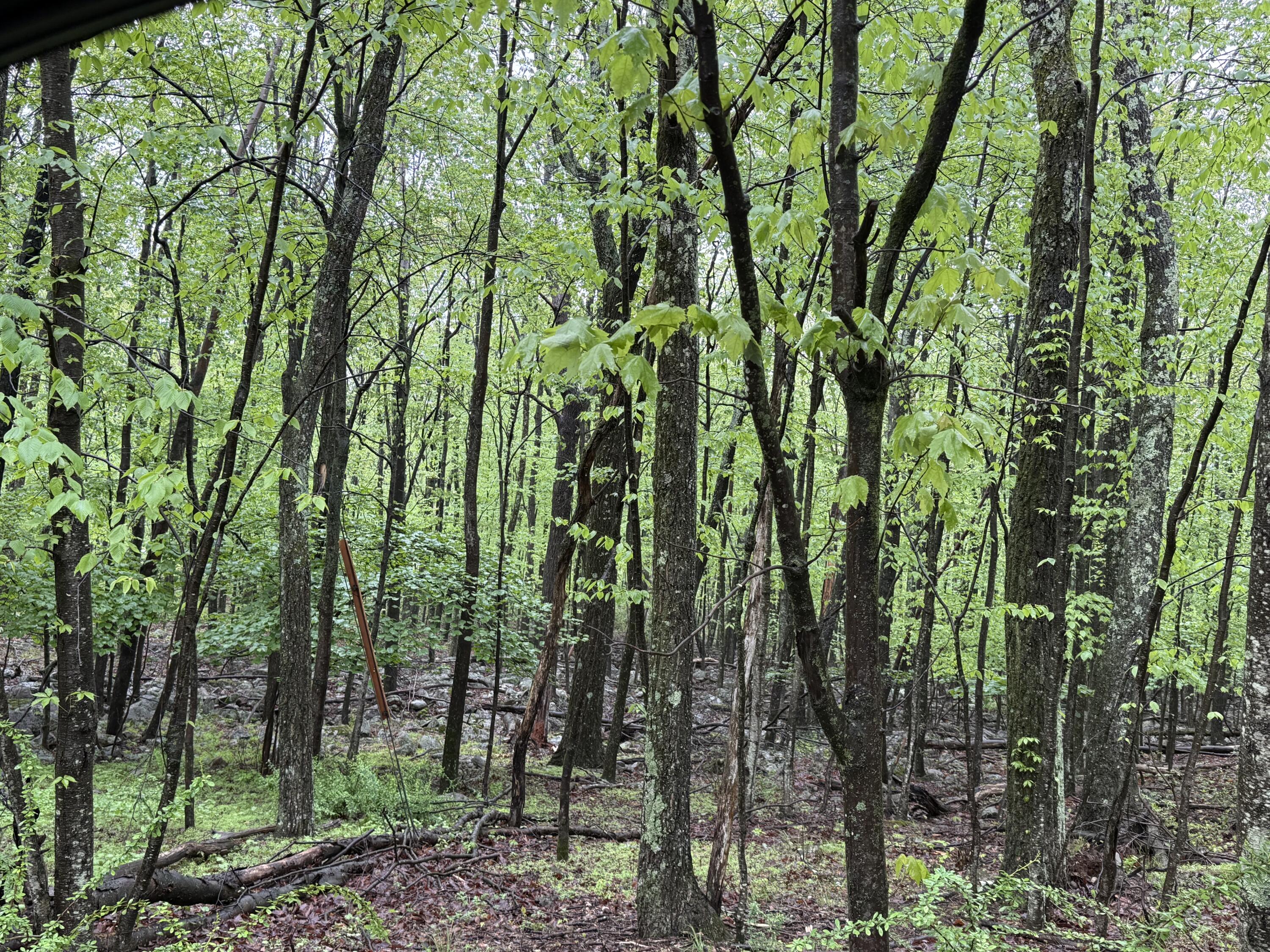 Lot 2 Sportsmans Trail, Stroudsburg, Pennsylvania image 8