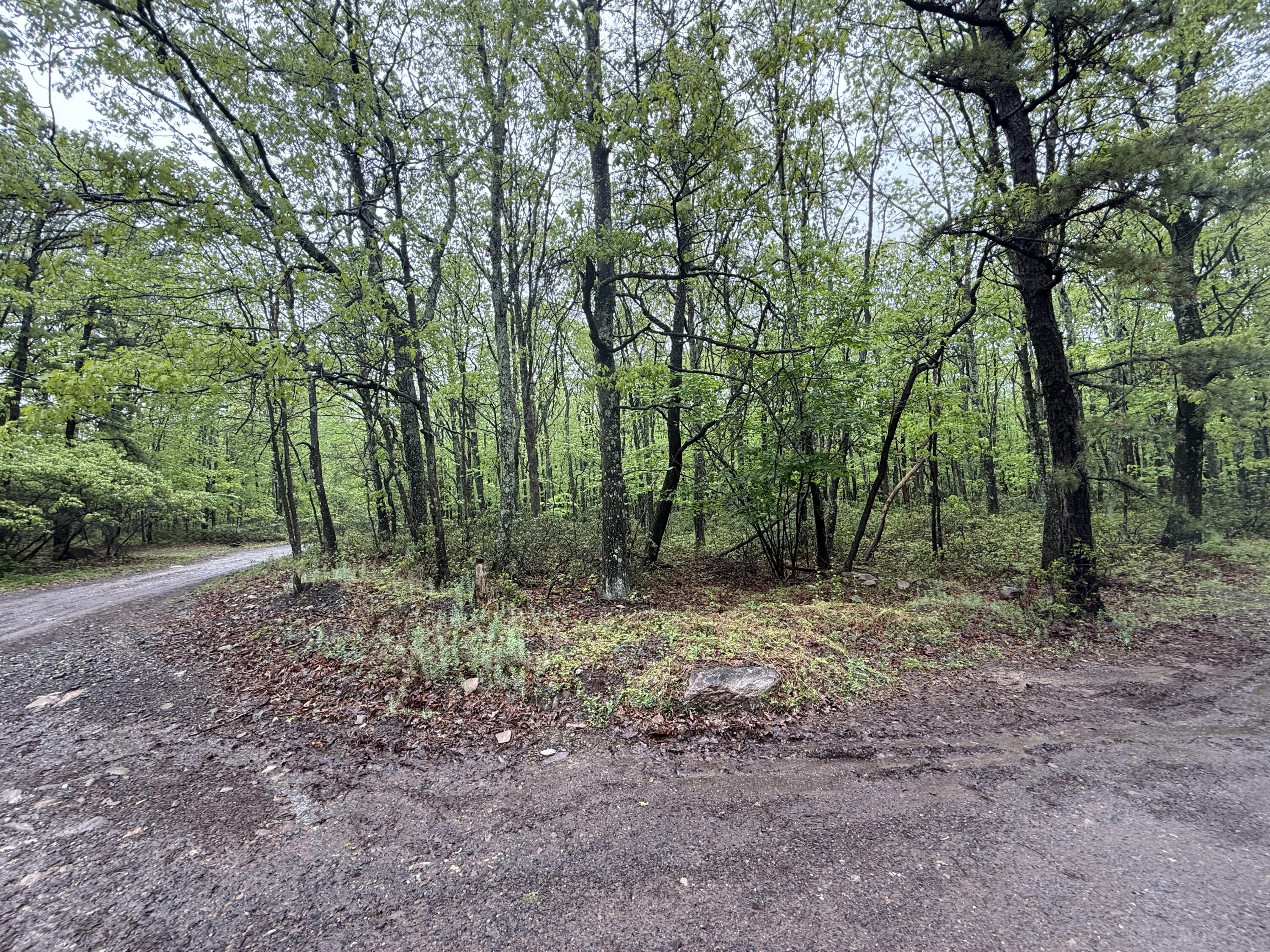 Lot 2 Sportsmans Trail, Stroudsburg, Pennsylvania image 5