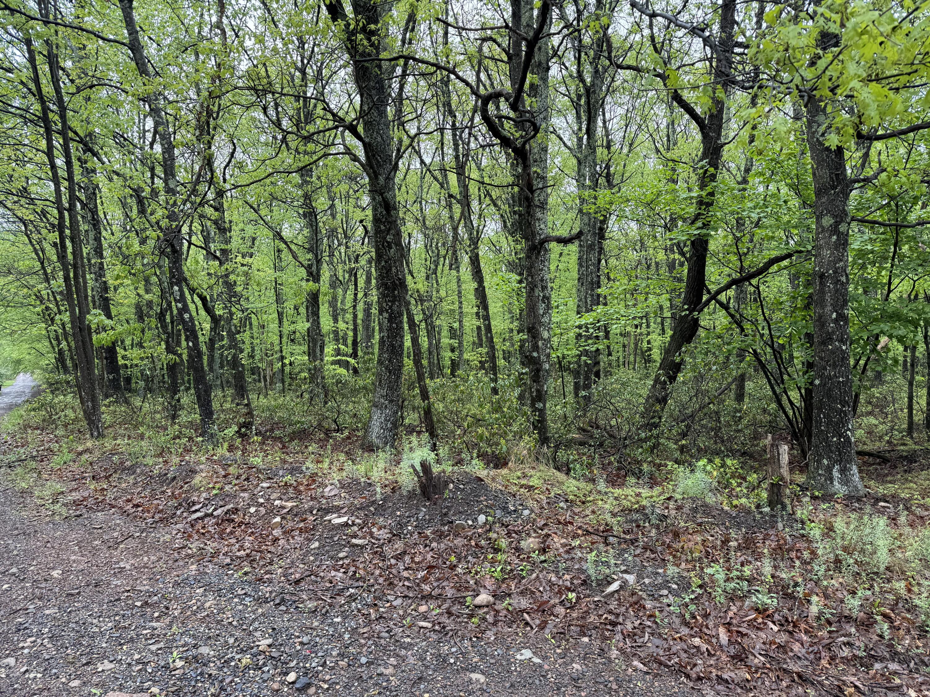 Lot 2 Sportsmans Trail, Stroudsburg, Pennsylvania image 7