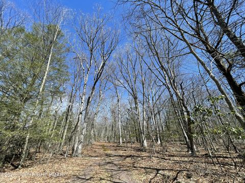 Vacant Land For Sale - 134 Maple Drive<br/> Cresco, PA 18326