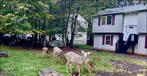 8440 Bear Trail Drive Tobyhanna PA 18466