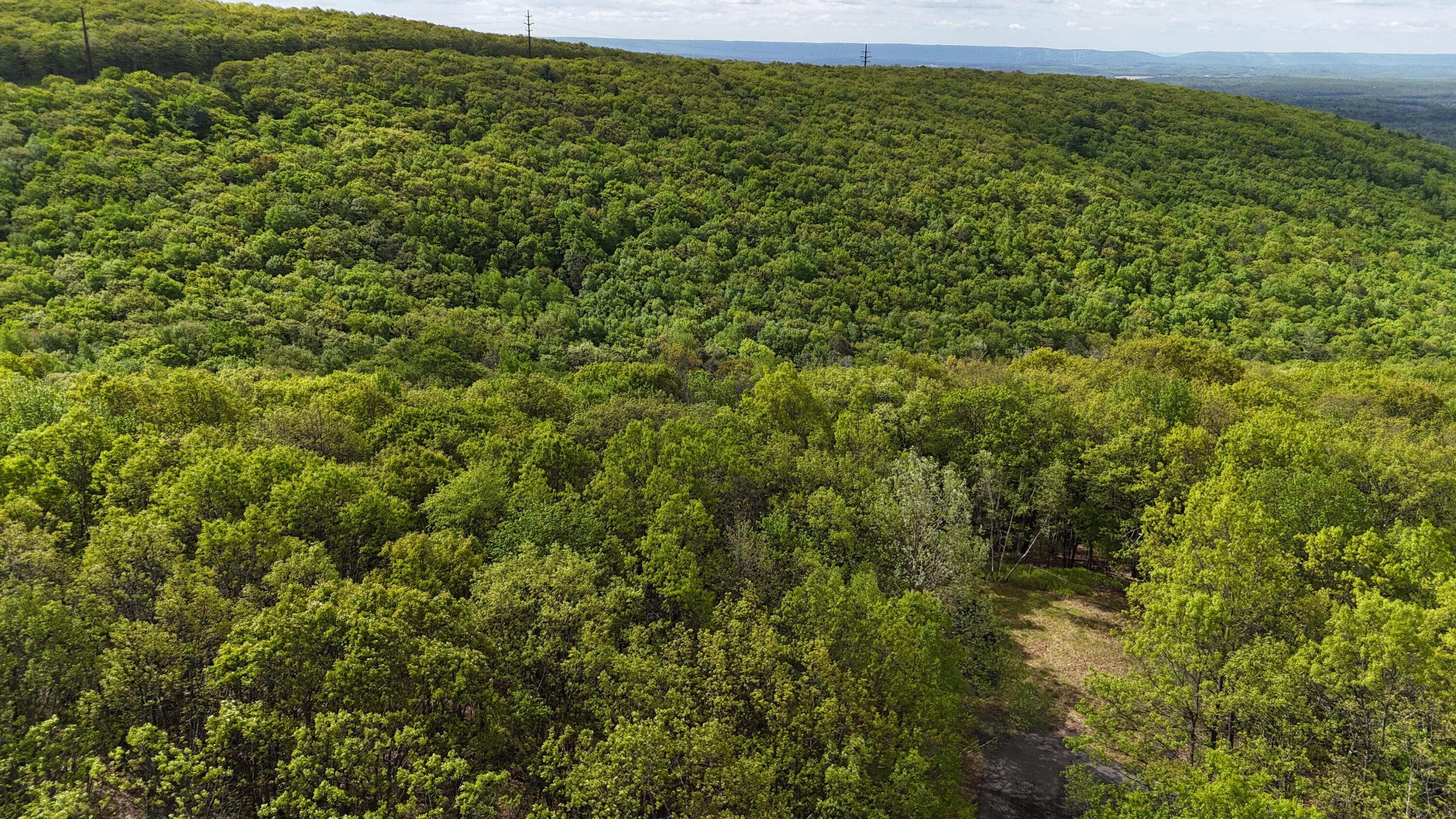Arciel Dr, Albrightsville, Pennsylvania image 9