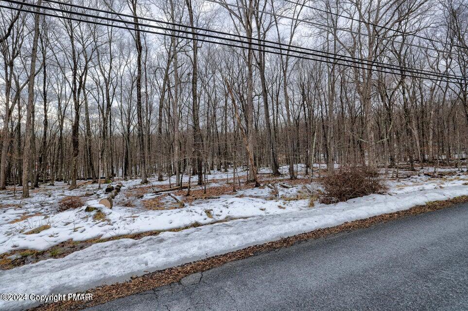 Lot17 Pocono Mountain Lake Drive, Bushkill, Pennsylvania image 6