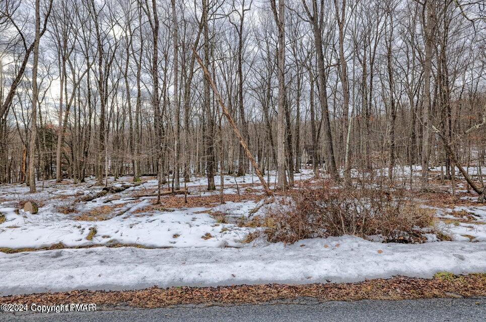 Lot17 Pocono Mountain Lake Drive, Bushkill, Pennsylvania image 1