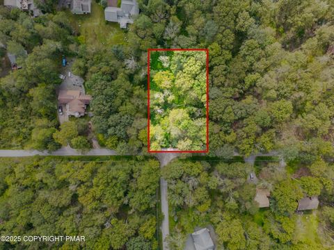 804 Evergreen Drive Pocono Lake PA 18347