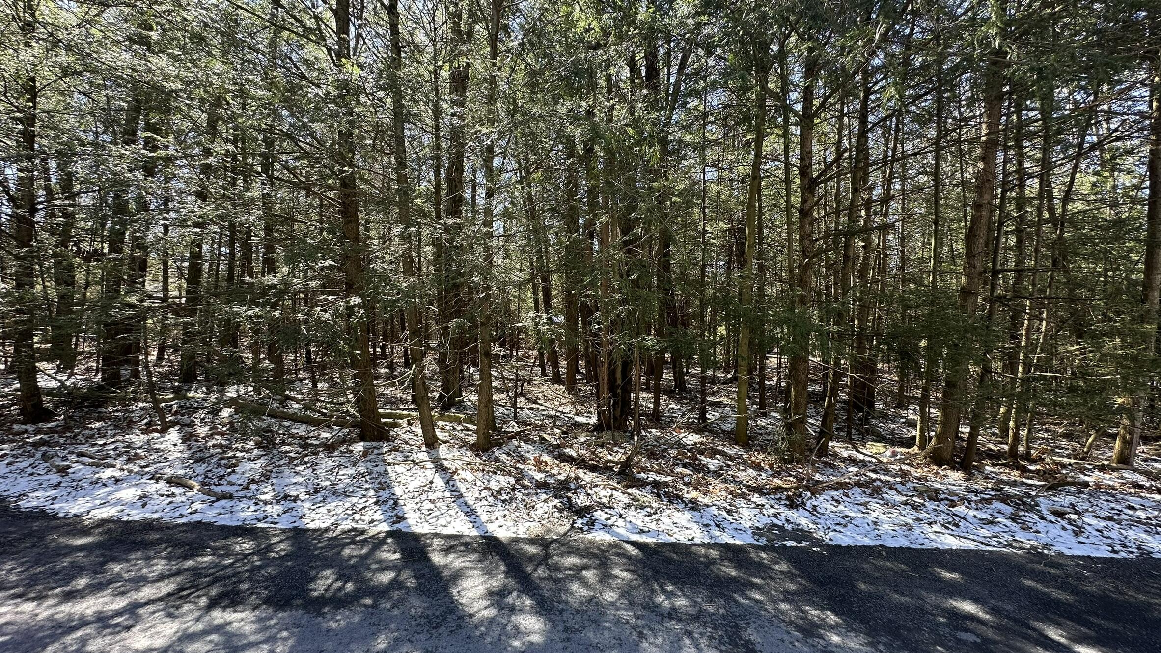 Lot 1114 Sunset Drive, Pocono Summit, Pennsylvania image 4