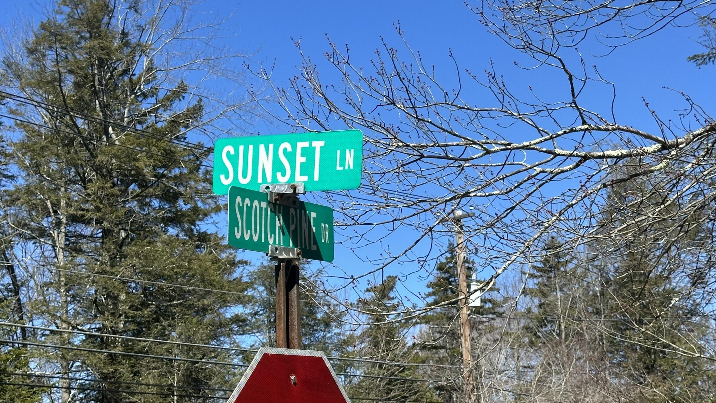 Lot 1114 Sunset Drive, Pocono Summit, Pennsylvania image 1