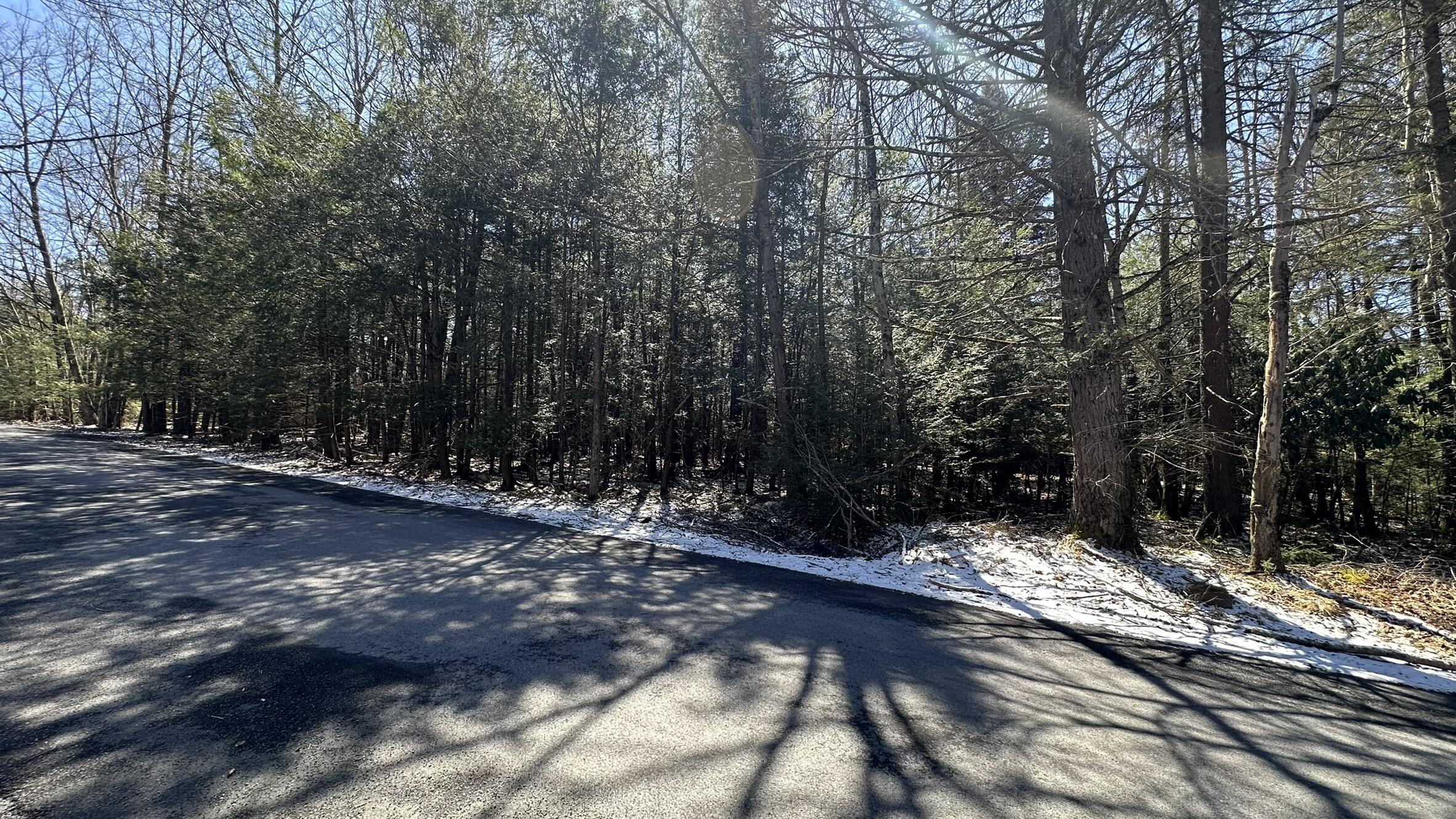 Lot 1114 Sunset Drive, Pocono Summit, Pennsylvania image 3