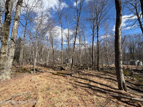 Vacant Land For Sale - 11 Smoke Signal Path<br/> Gouldsboro, PA 18424
