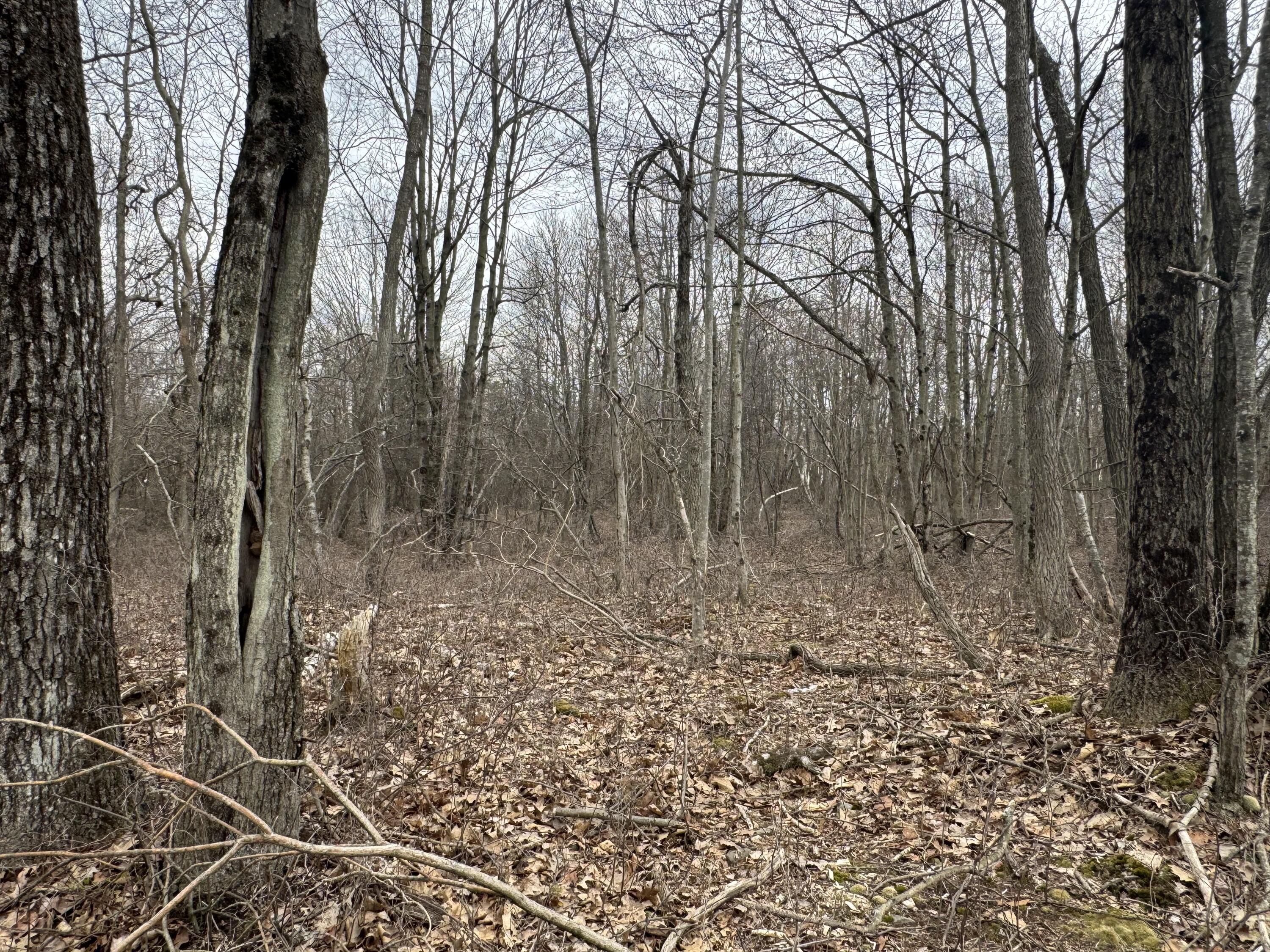 Lot 895 Hornbeam Ct 895 Court, Long Pond, Pennsylvania image 1