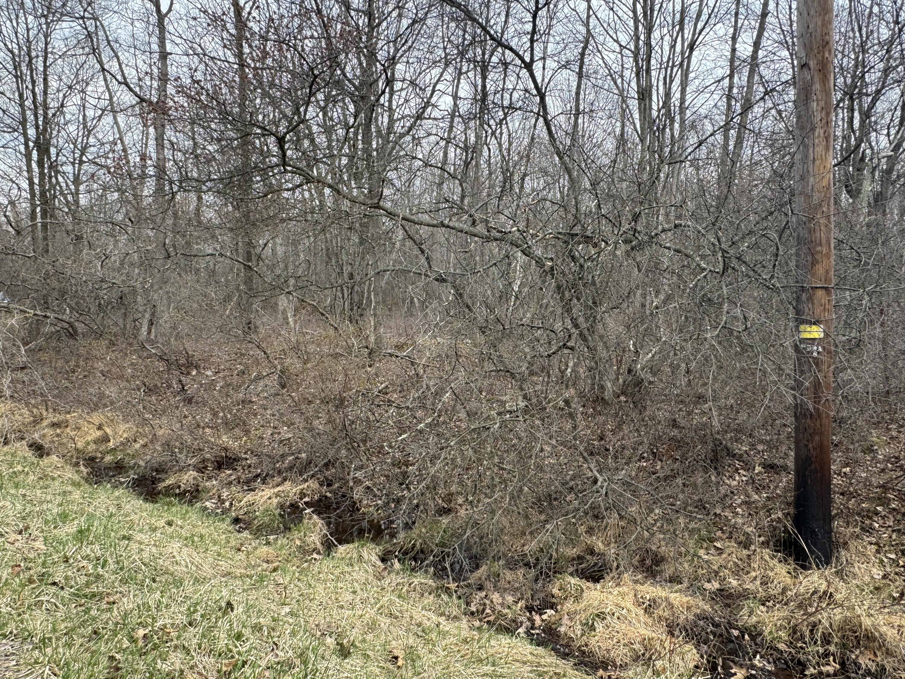 Lot 895 Hornbeam Ct 895 Court, Long Pond, Pennsylvania image 3