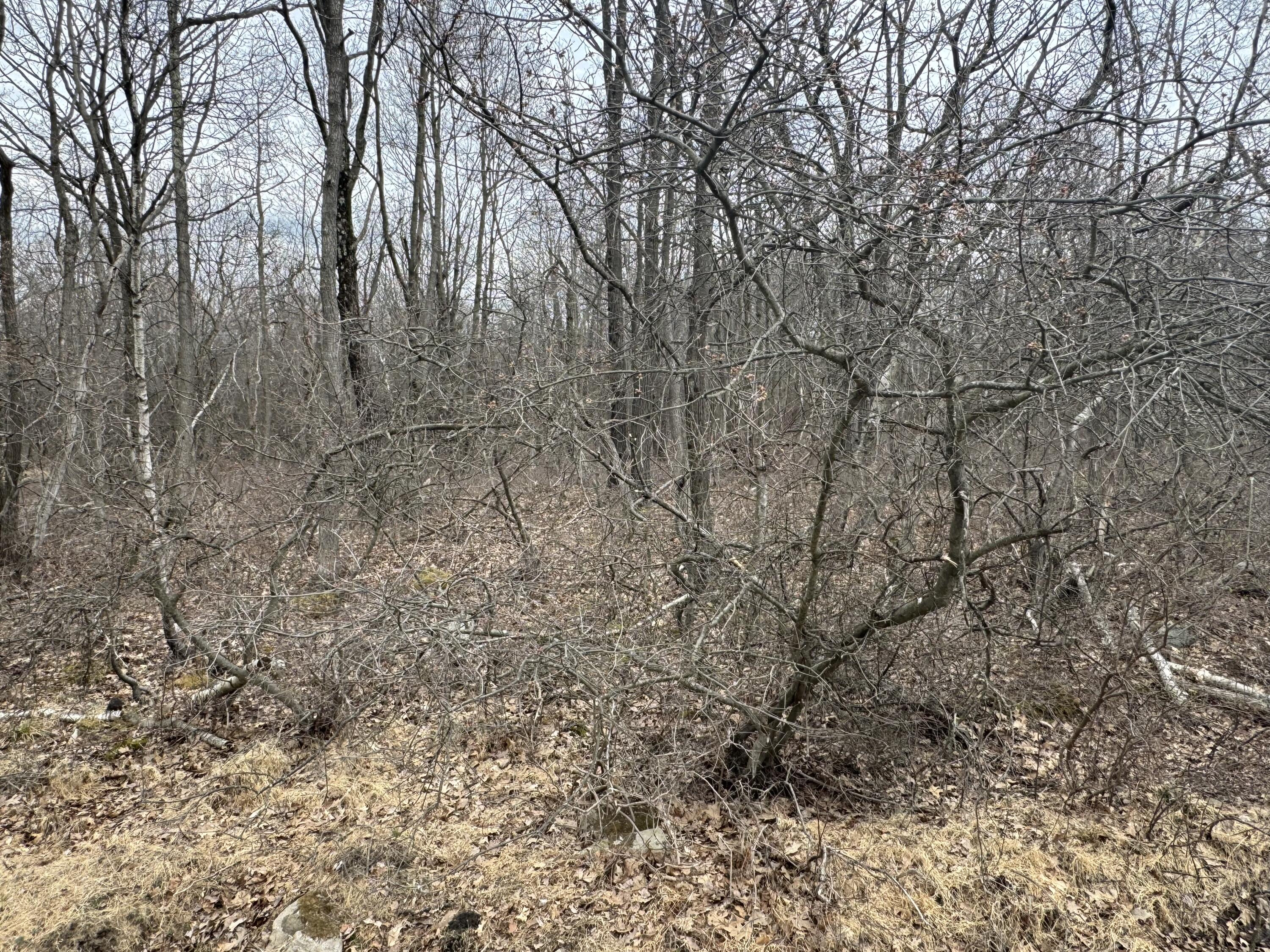 Lot 895 Hornbeam Ct 895 Court, Long Pond, Pennsylvania image 6