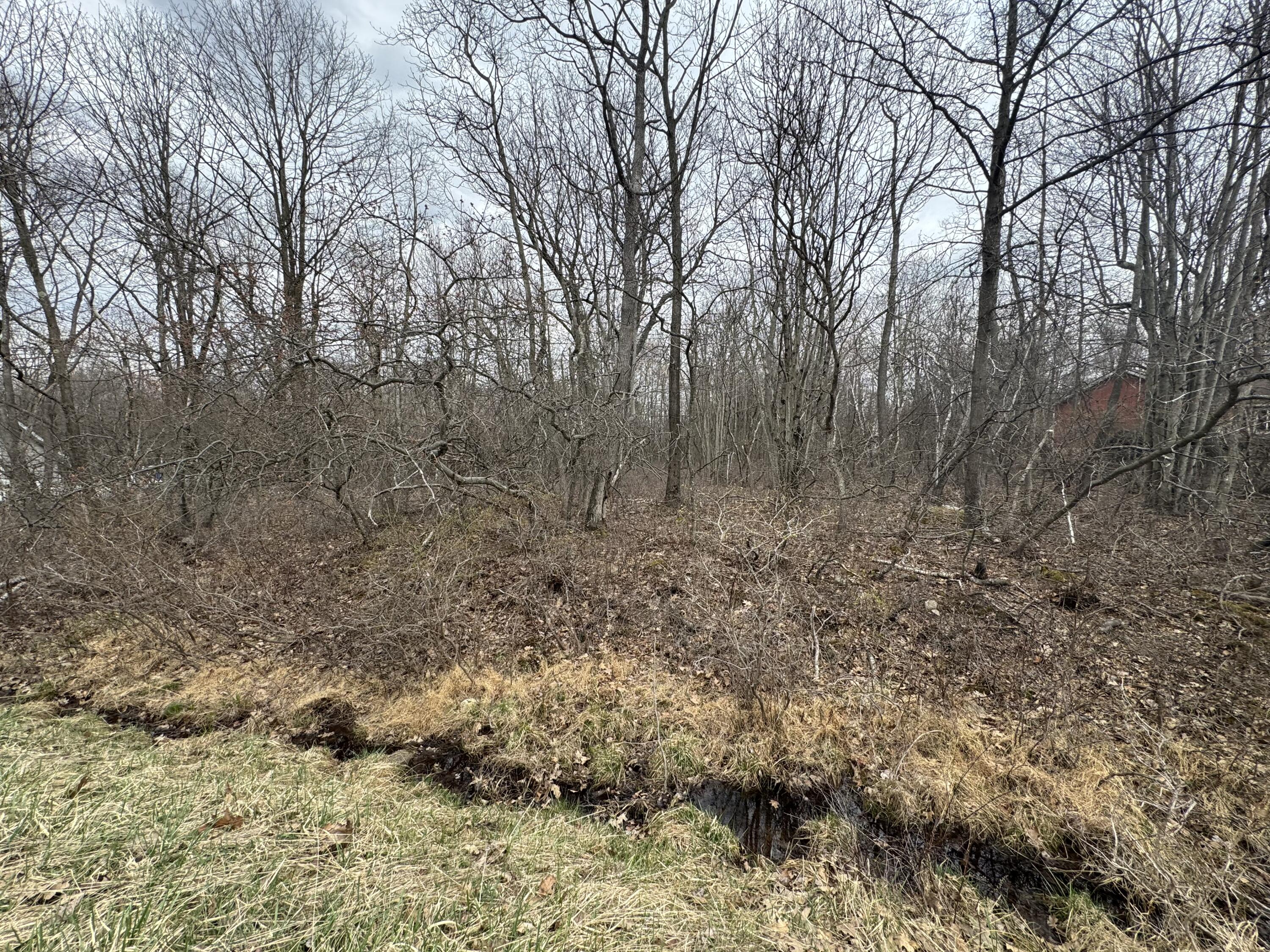 Lot 895 Hornbeam Ct 895 Court, Long Pond, Pennsylvania image 4