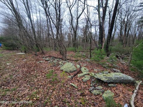 Vacant Land For Sale - Pa-739<br/> Dingmans Ferry, PA 18328