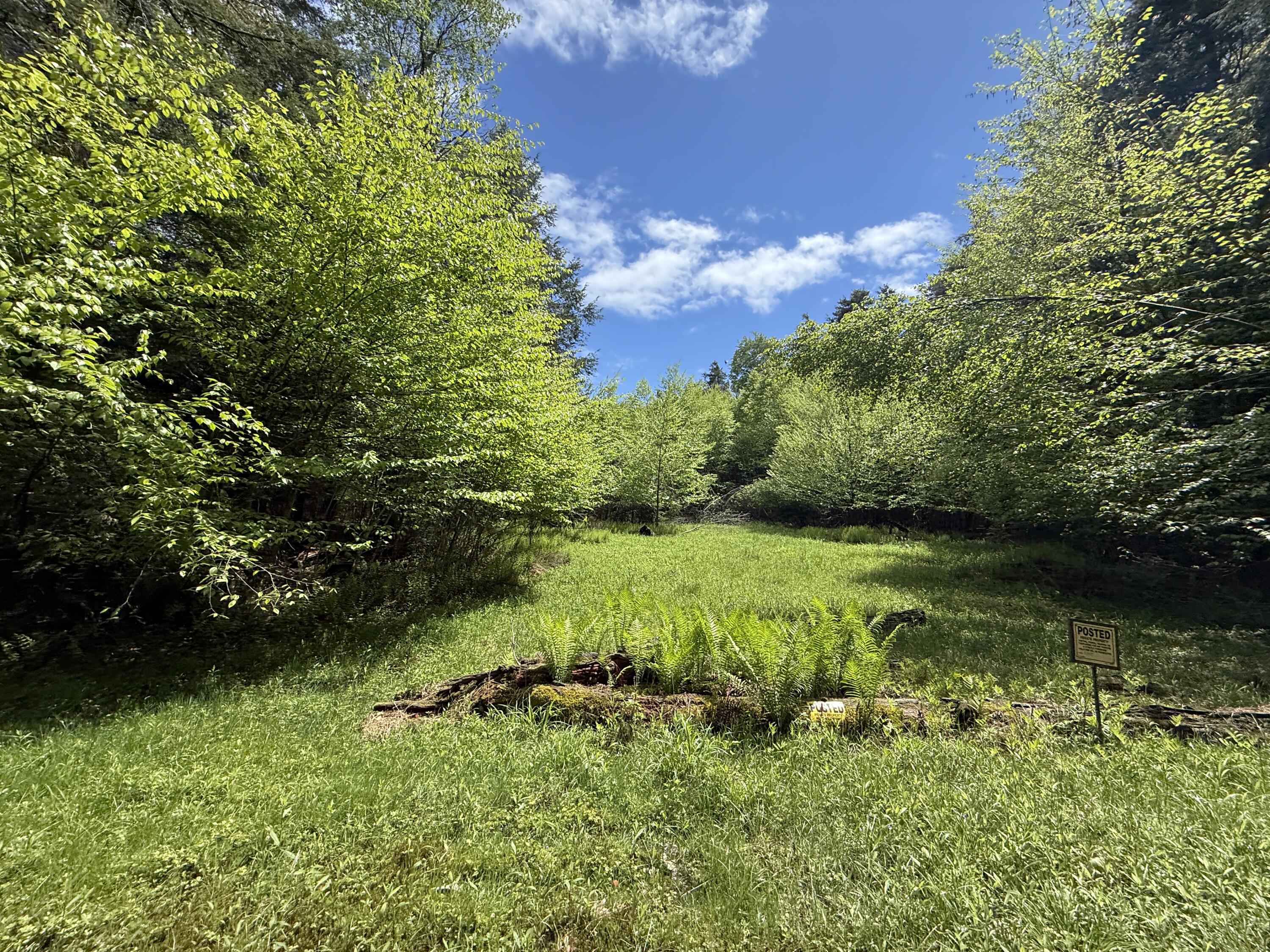 28 Old White Haven Lane, White Haven, Pennsylvania image 27