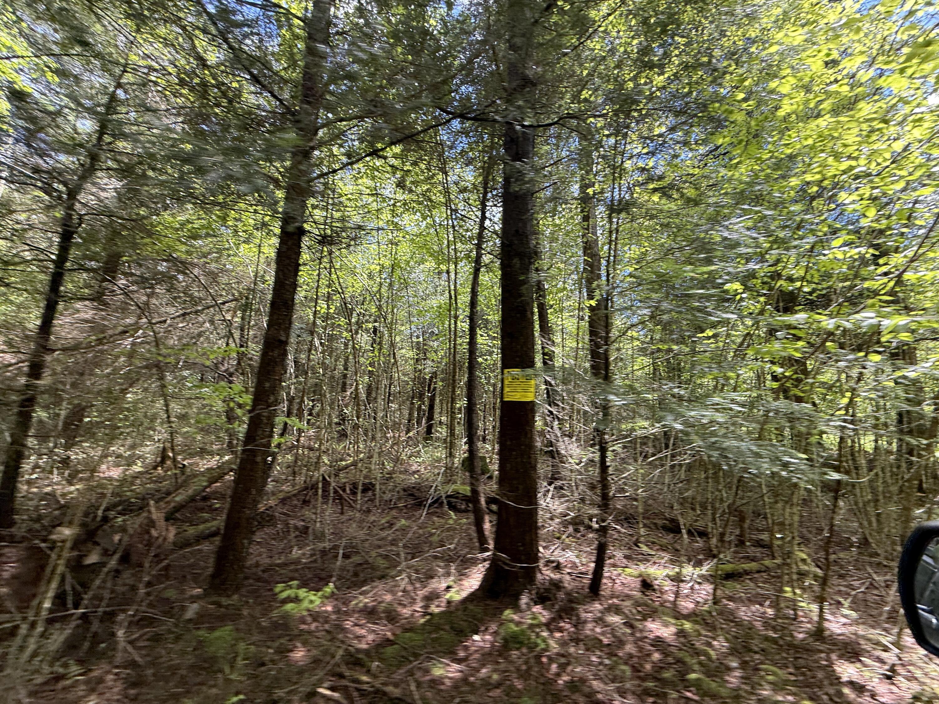 28 Old White Haven Lane, White Haven, Pennsylvania image 25