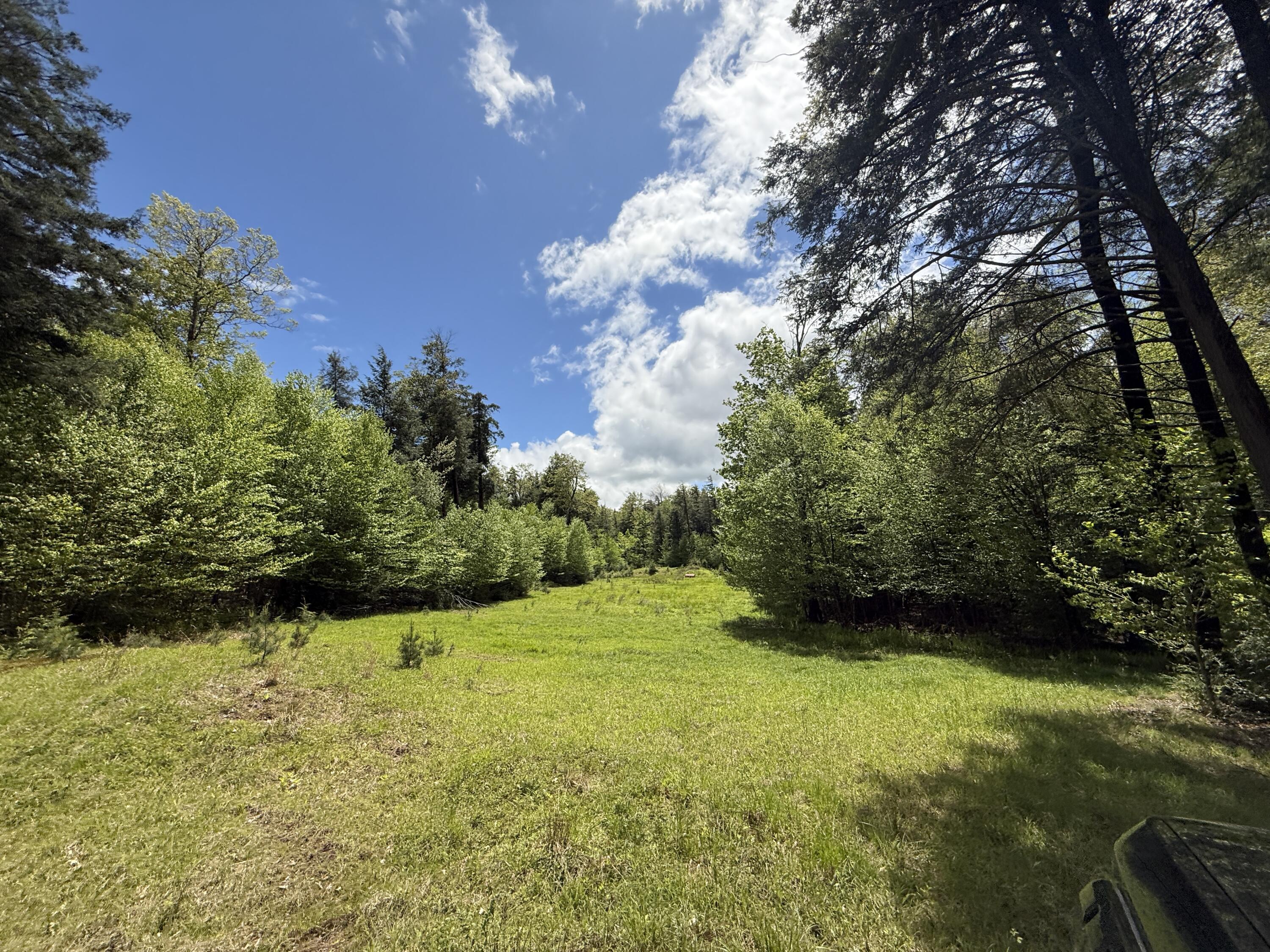 28 Old White Haven Lane, White Haven, Pennsylvania image 35