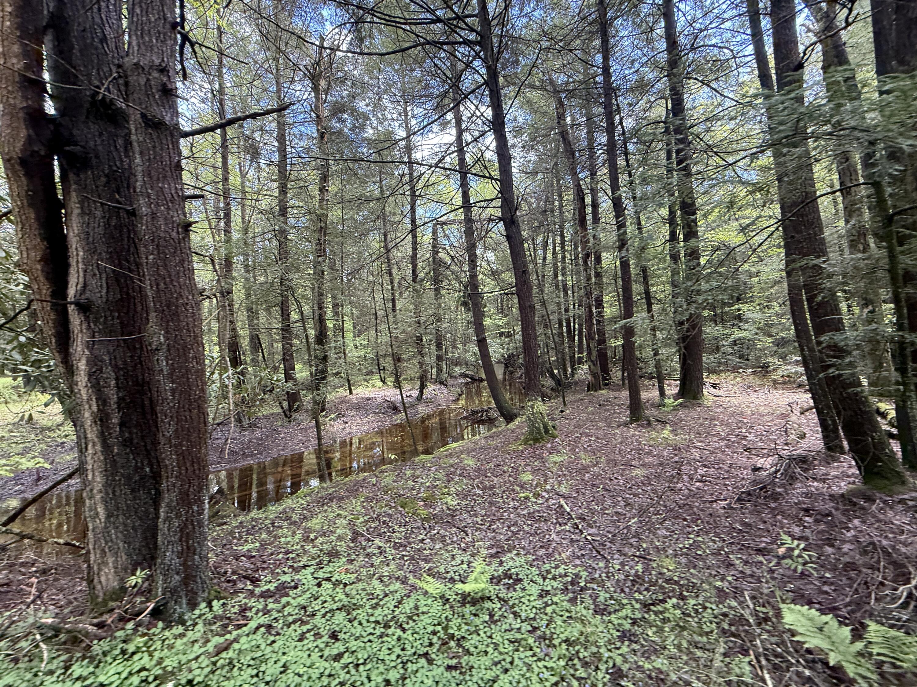 28 Old White Haven Lane, White Haven, Pennsylvania image 21
