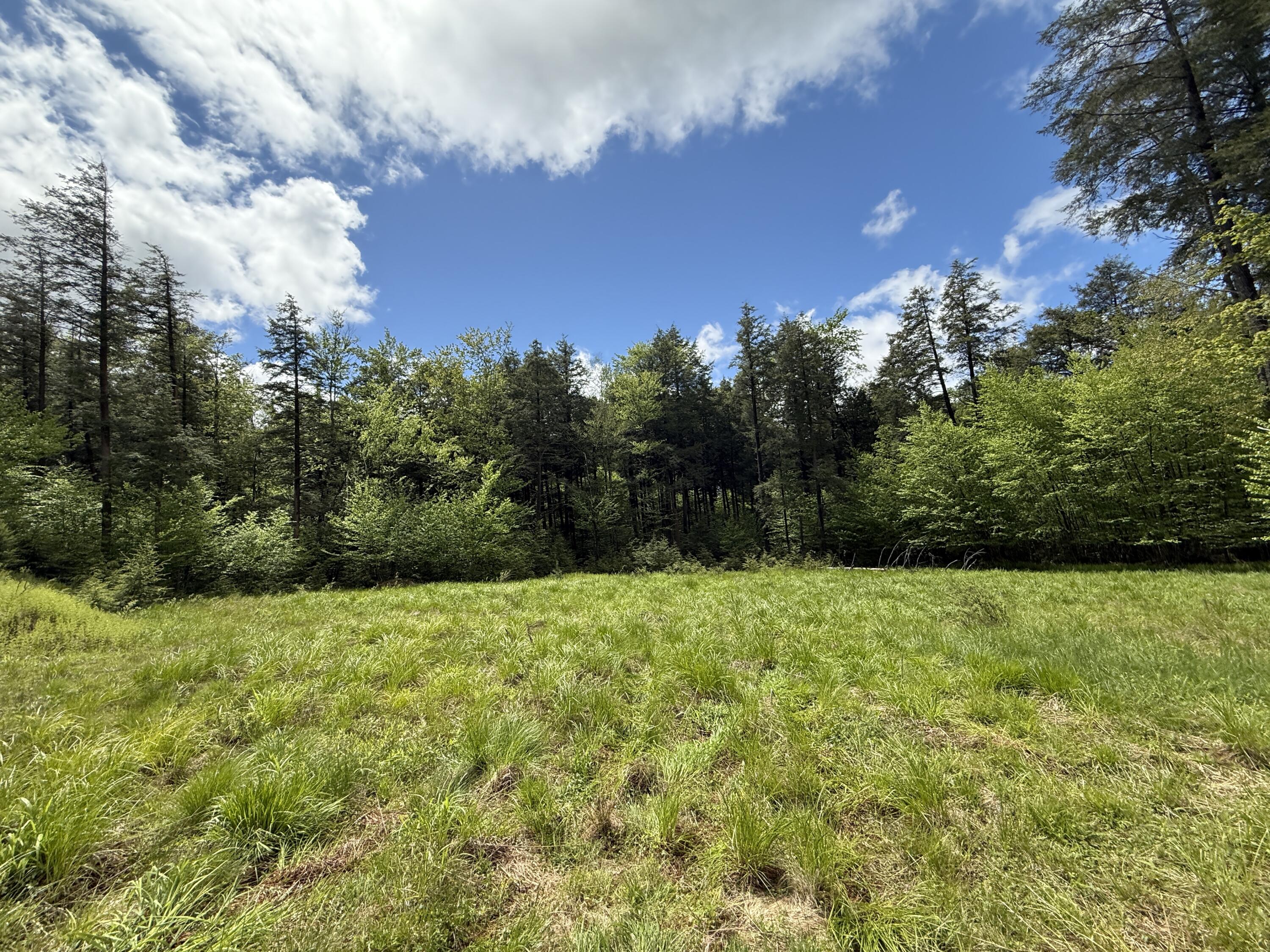 28 Old White Haven Lane, White Haven, Pennsylvania image 38