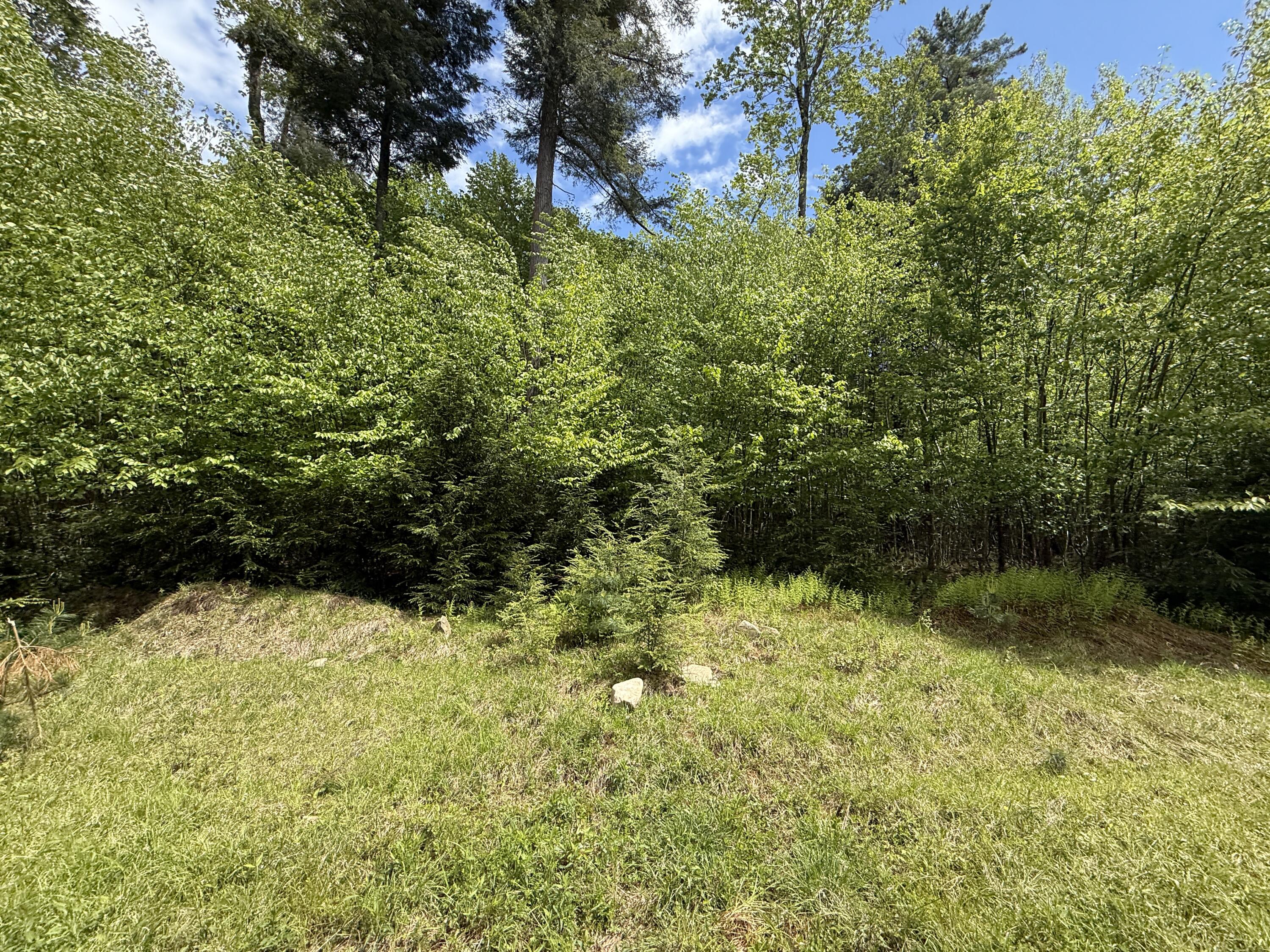 28 Old White Haven Lane, White Haven, Pennsylvania image 36