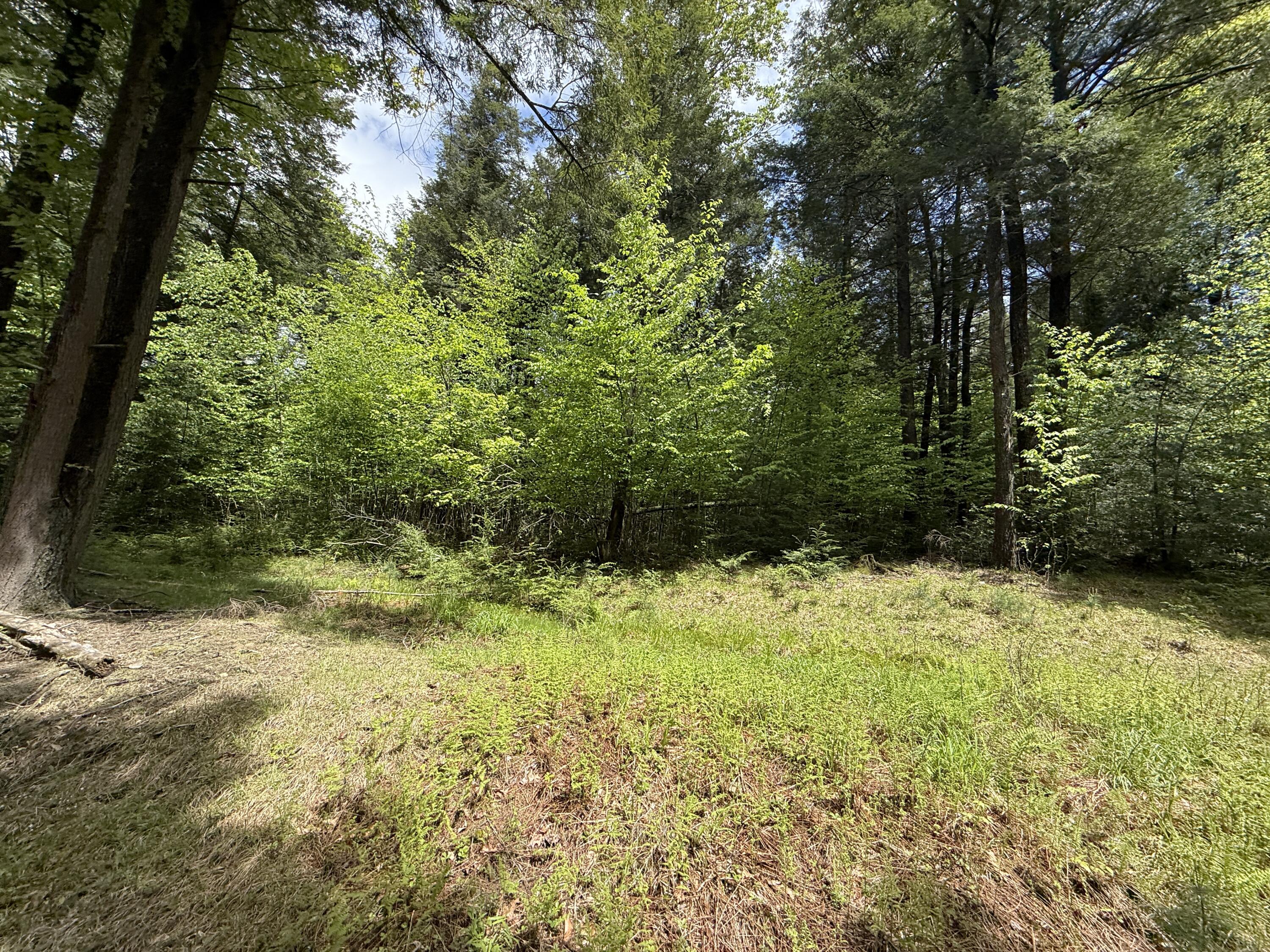 28 Old White Haven Lane, White Haven, Pennsylvania image 33