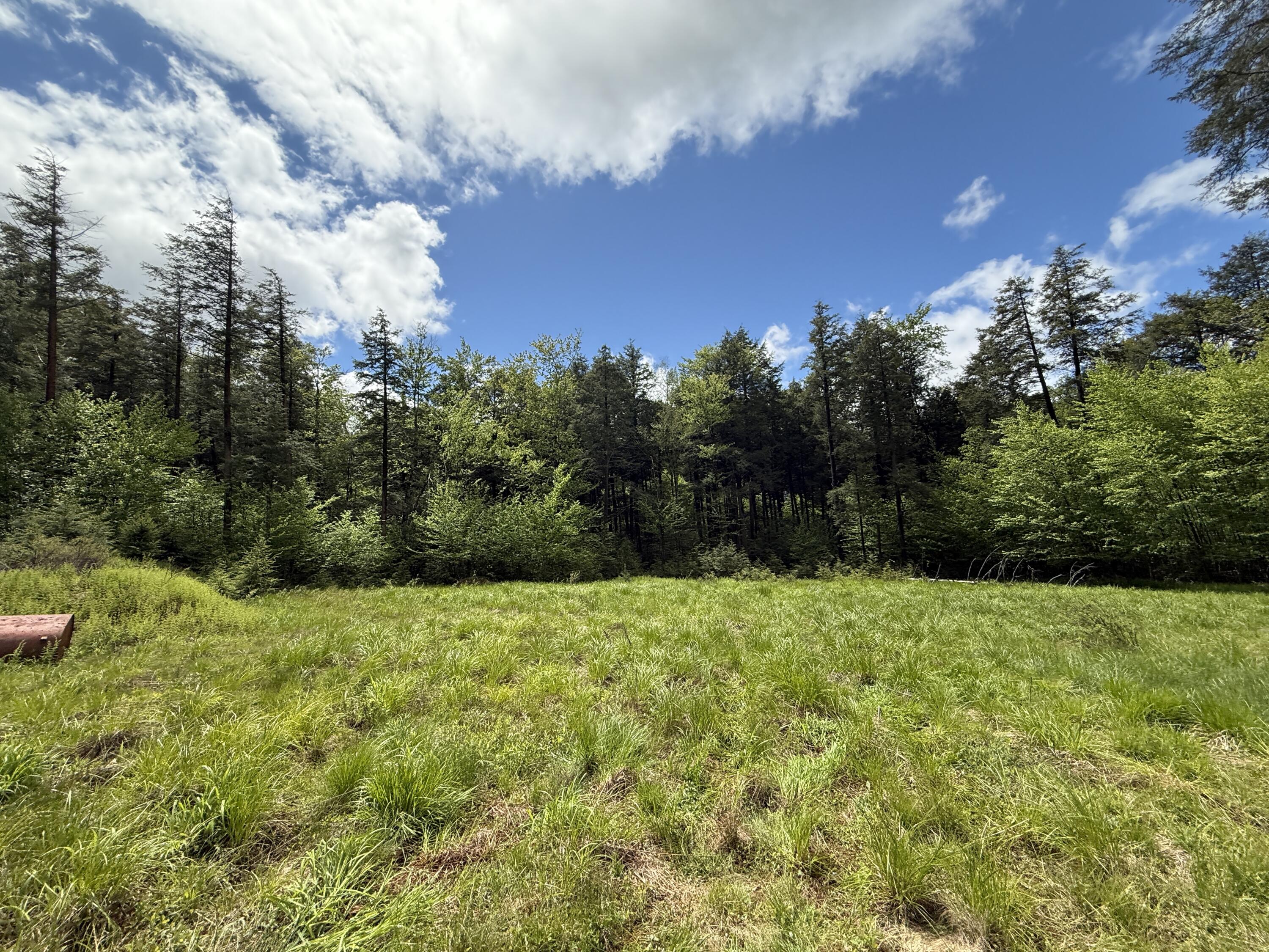 28 Old White Haven Lane, White Haven, Pennsylvania image 37