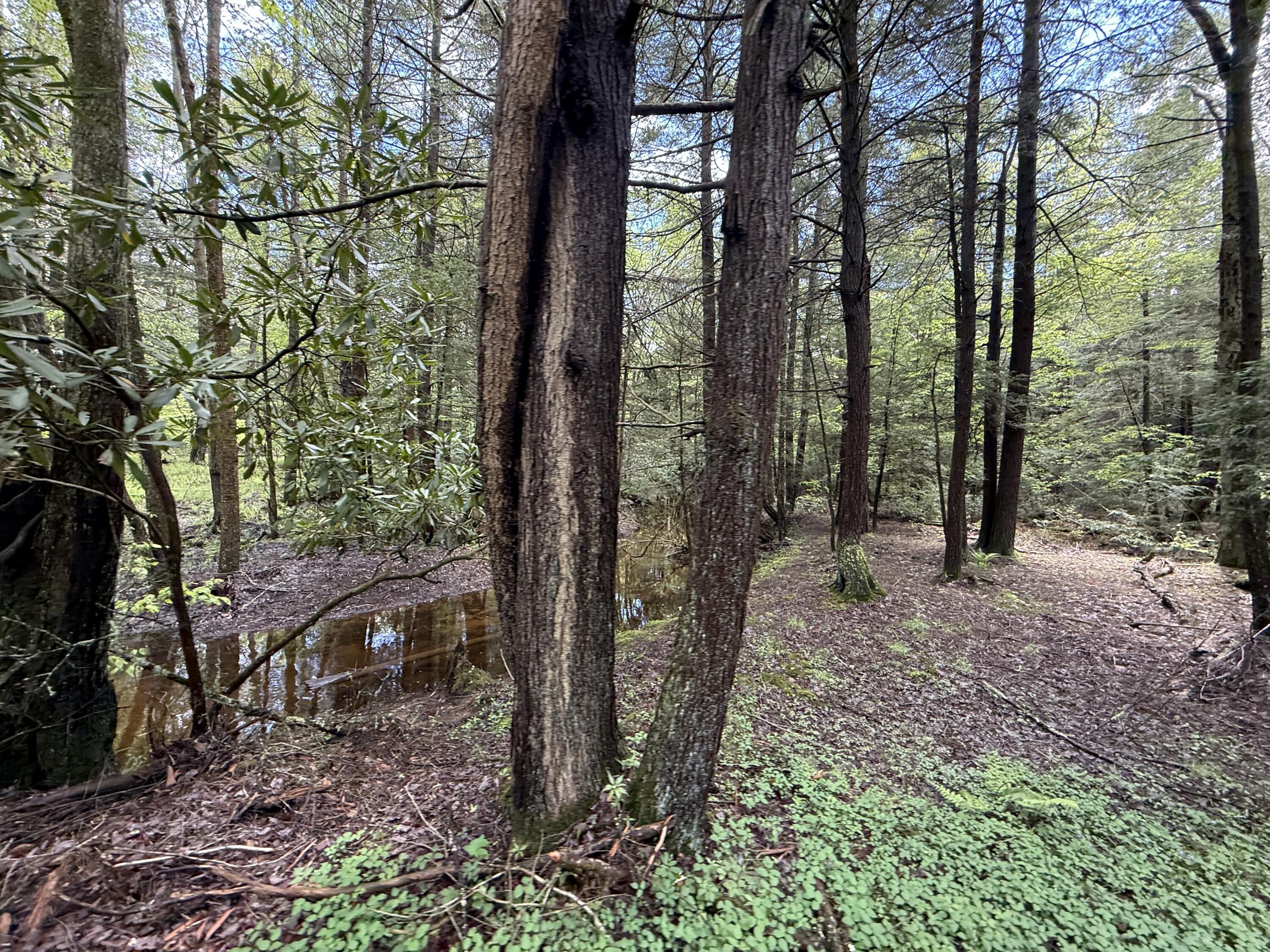 28 Old White Haven Lane, White Haven, Pennsylvania image 20