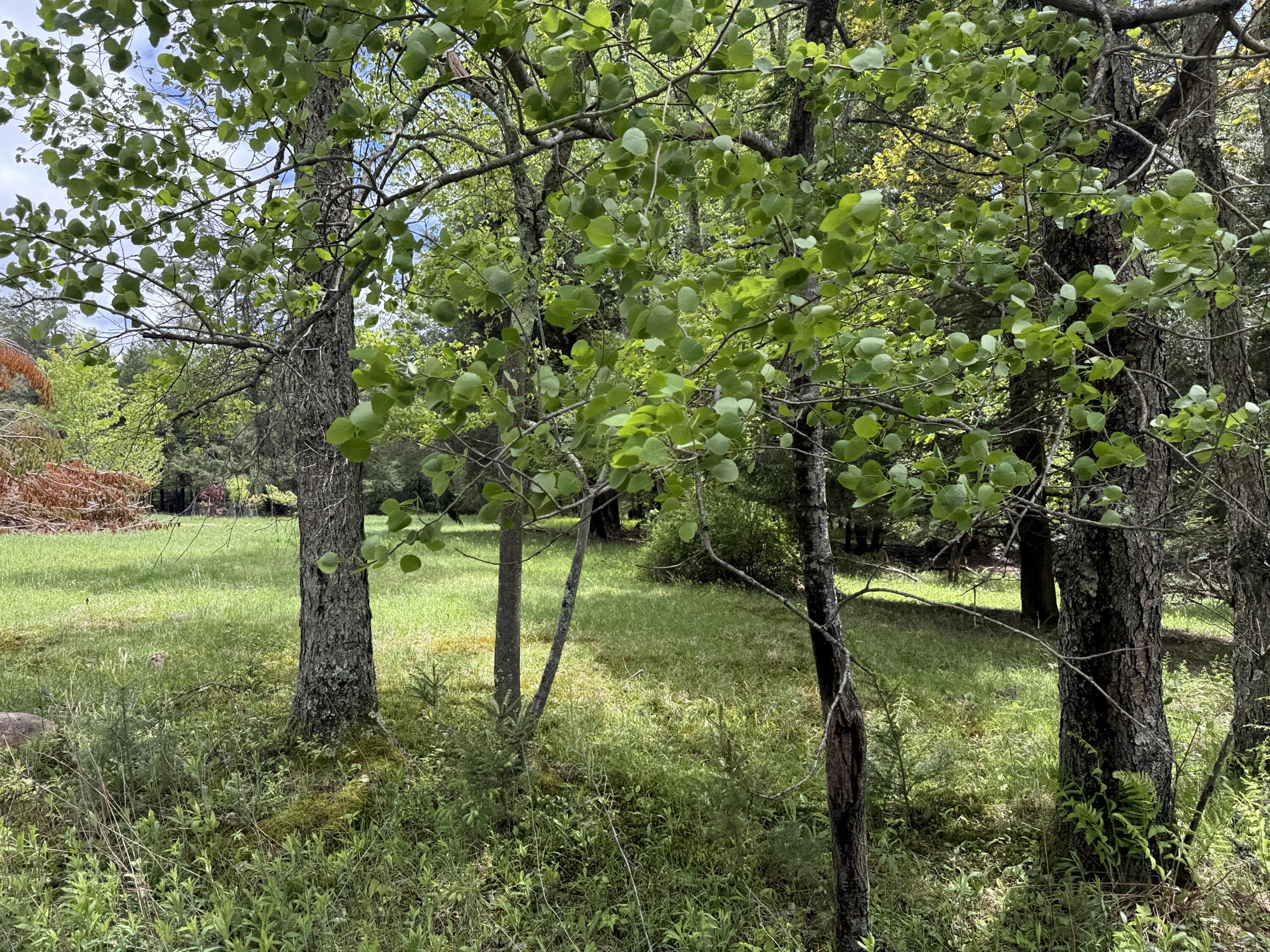 28 Old White Haven Lane, White Haven, Pennsylvania image 12