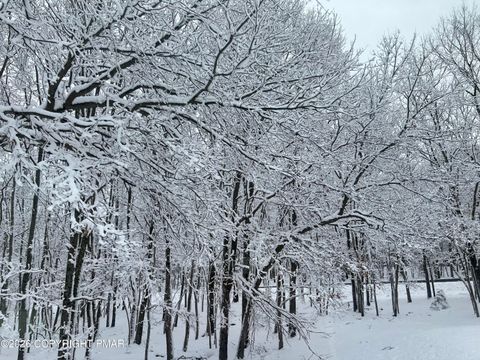 407 Pine Tree Albrightsville PA 18210