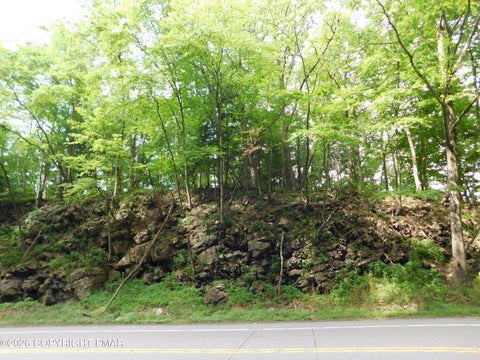 Vacant Land For Sale - Claremont Avenue<br/> Schuylkill County, Tamaqua, PA 18252
