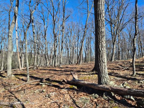 Vacant Land For Sale - Sunlight Dr 11<br/> Henryville, PA 18332