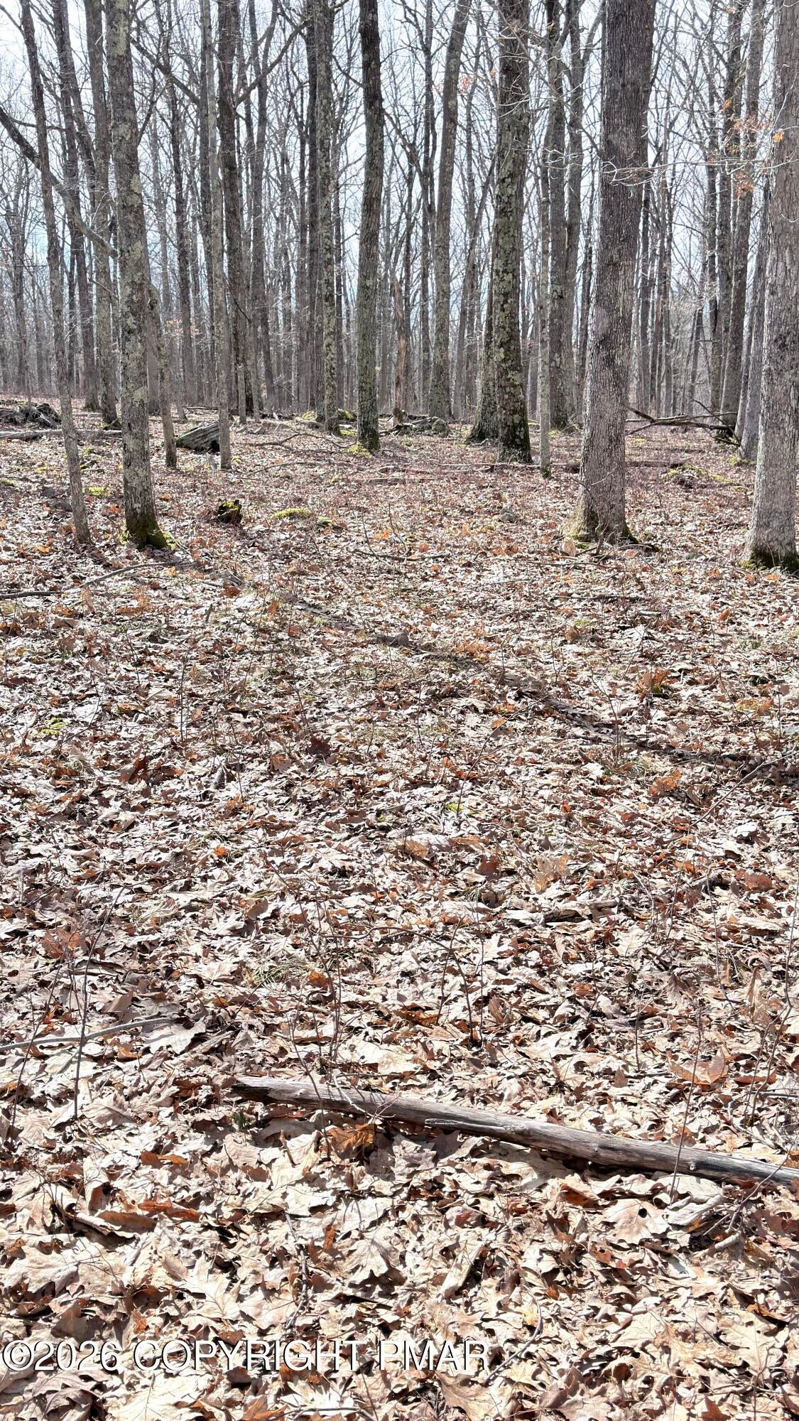 whitetail circle lot 93 sec 7