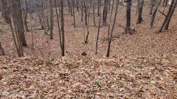 1686 EXETER CT, BUSHKILL, PA 18324 - Image 72687659789fccff73ba8e79eaeca266/1768596972