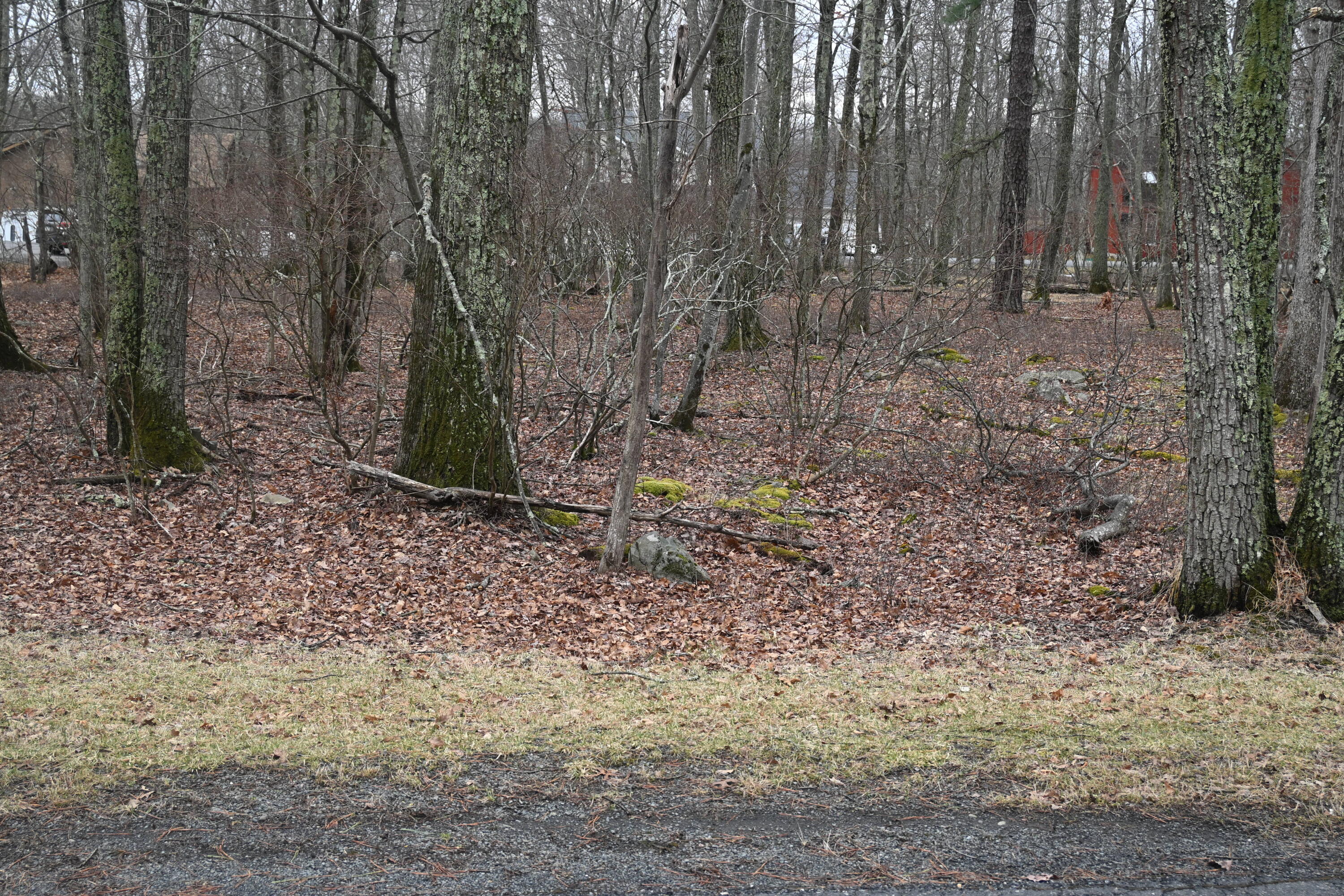 Oakenshield Drive, Tamiment, Pennsylvania image 3