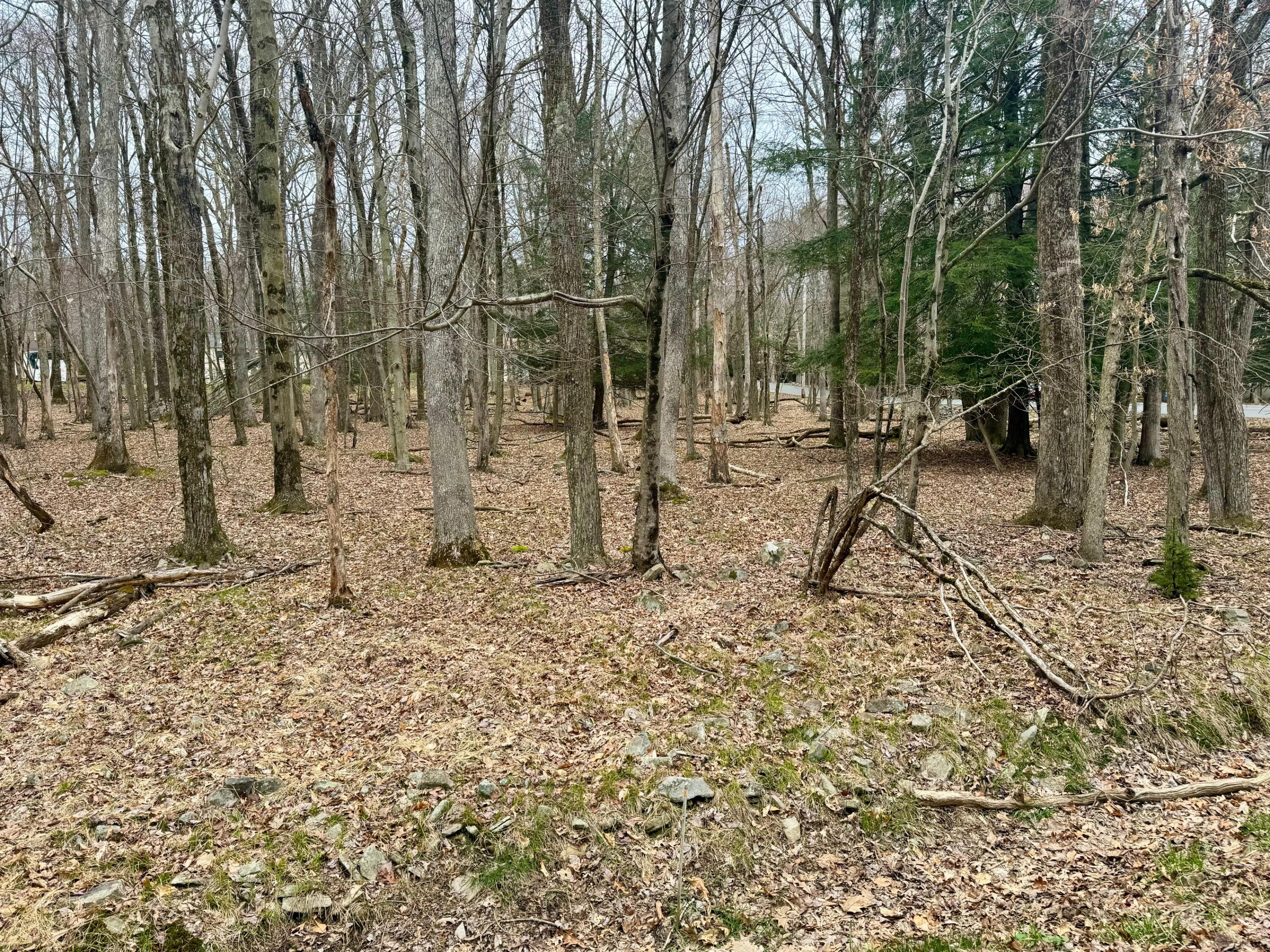 Lot 29 Moseywood Road, Lake Harmony, Pennsylvania image 4