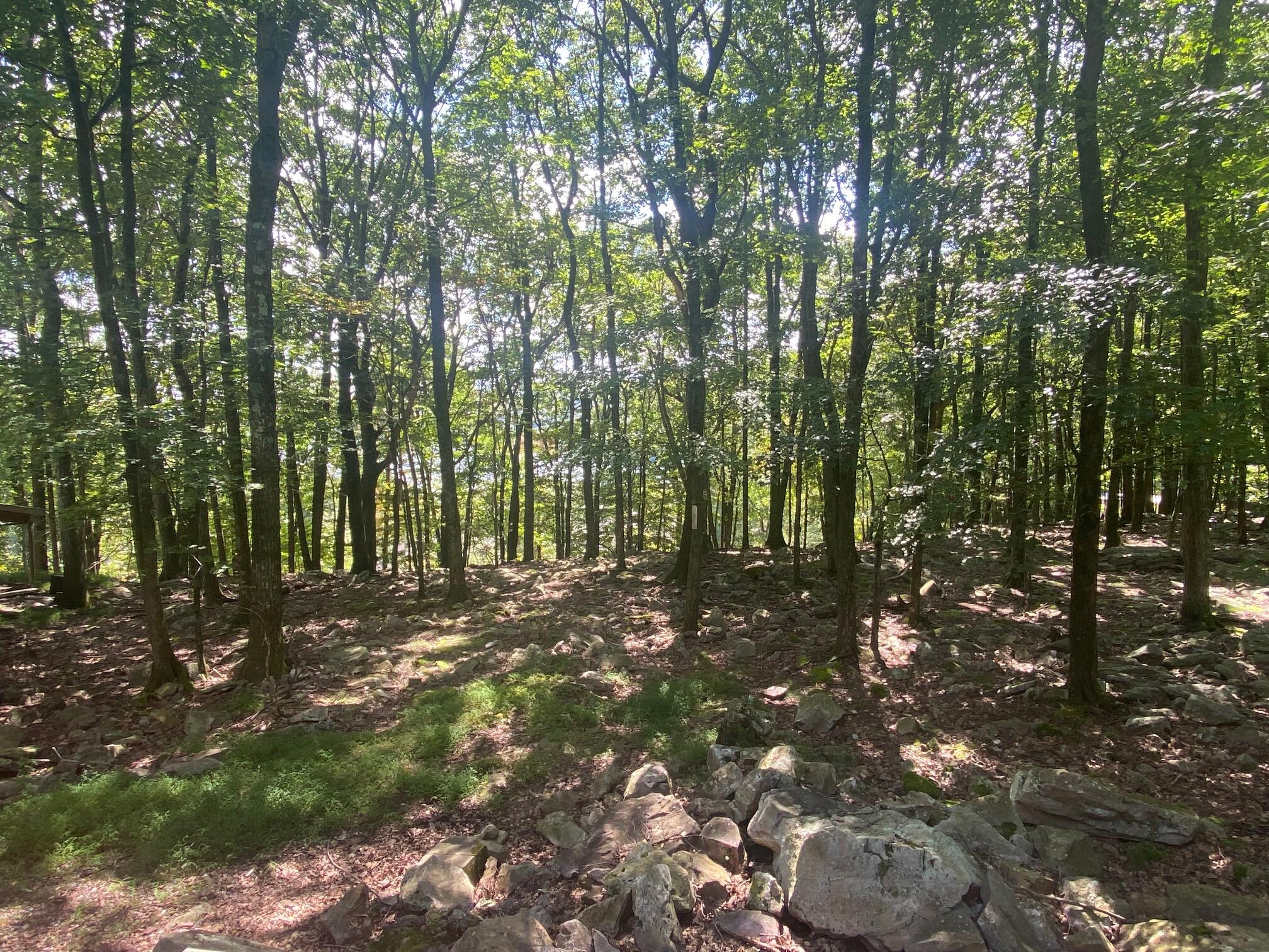 Lot 29 Moseywood Road, Lake Harmony, Pennsylvania image 2