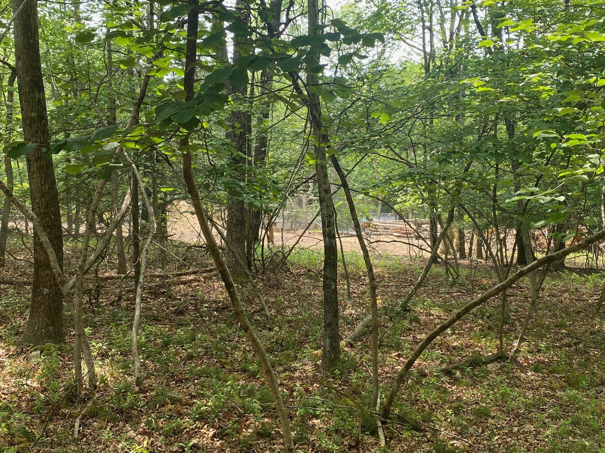 Lot 29 Moseywood Road, Lake Harmony, Pennsylvania image 8
