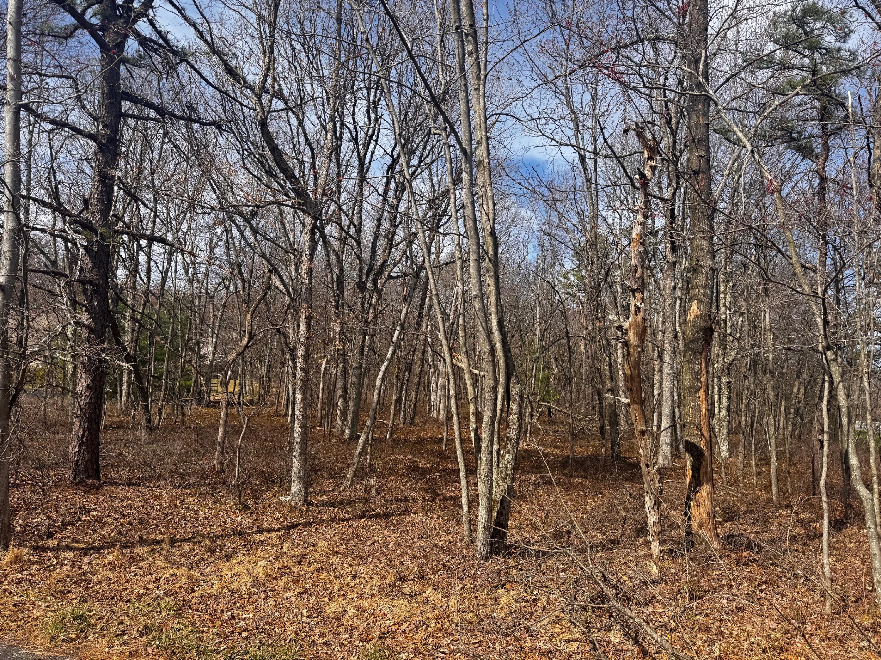 Lot 29 Moseywood Road, Lake Harmony, Pennsylvania image 7